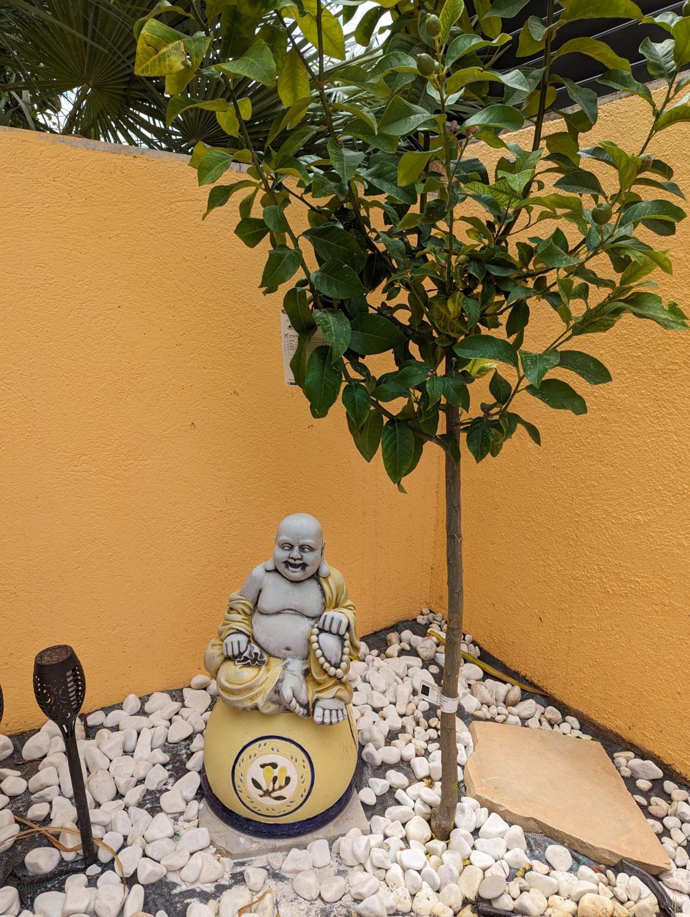 Casa Felicitas
