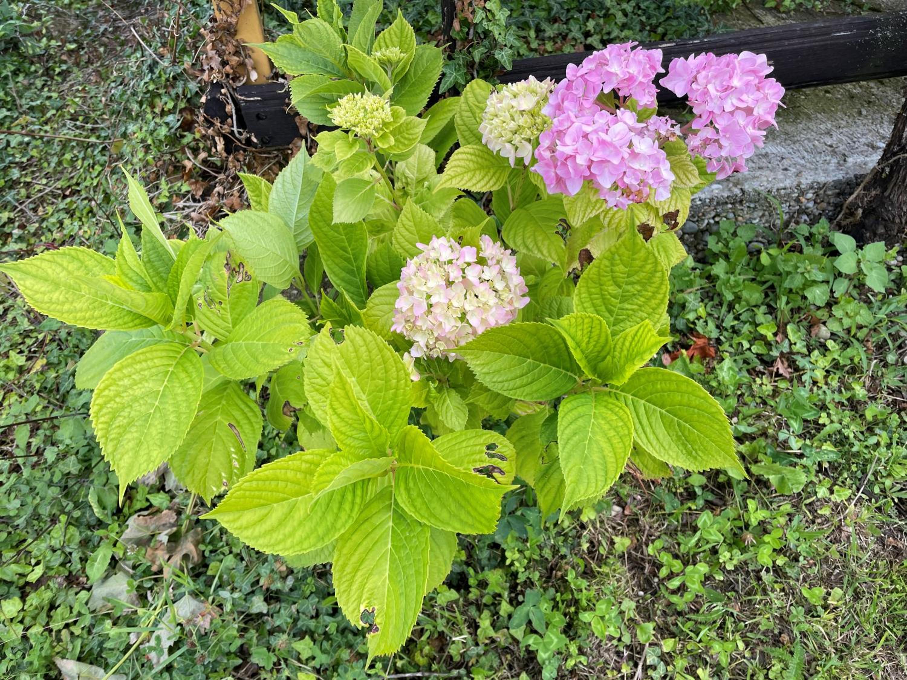 Photo 19
