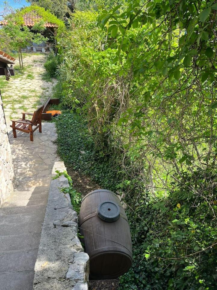 Photo 14