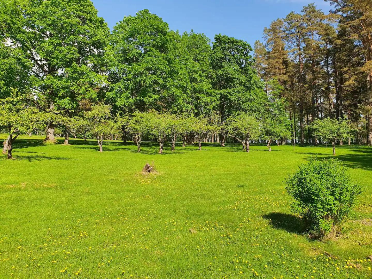 Knipnäs Rosengarden