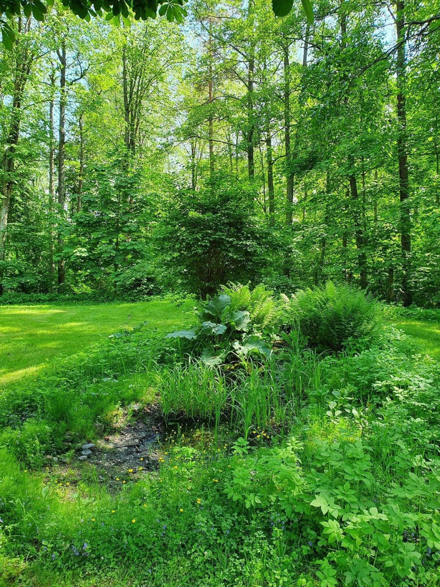 Knipnäs Rosengarden
