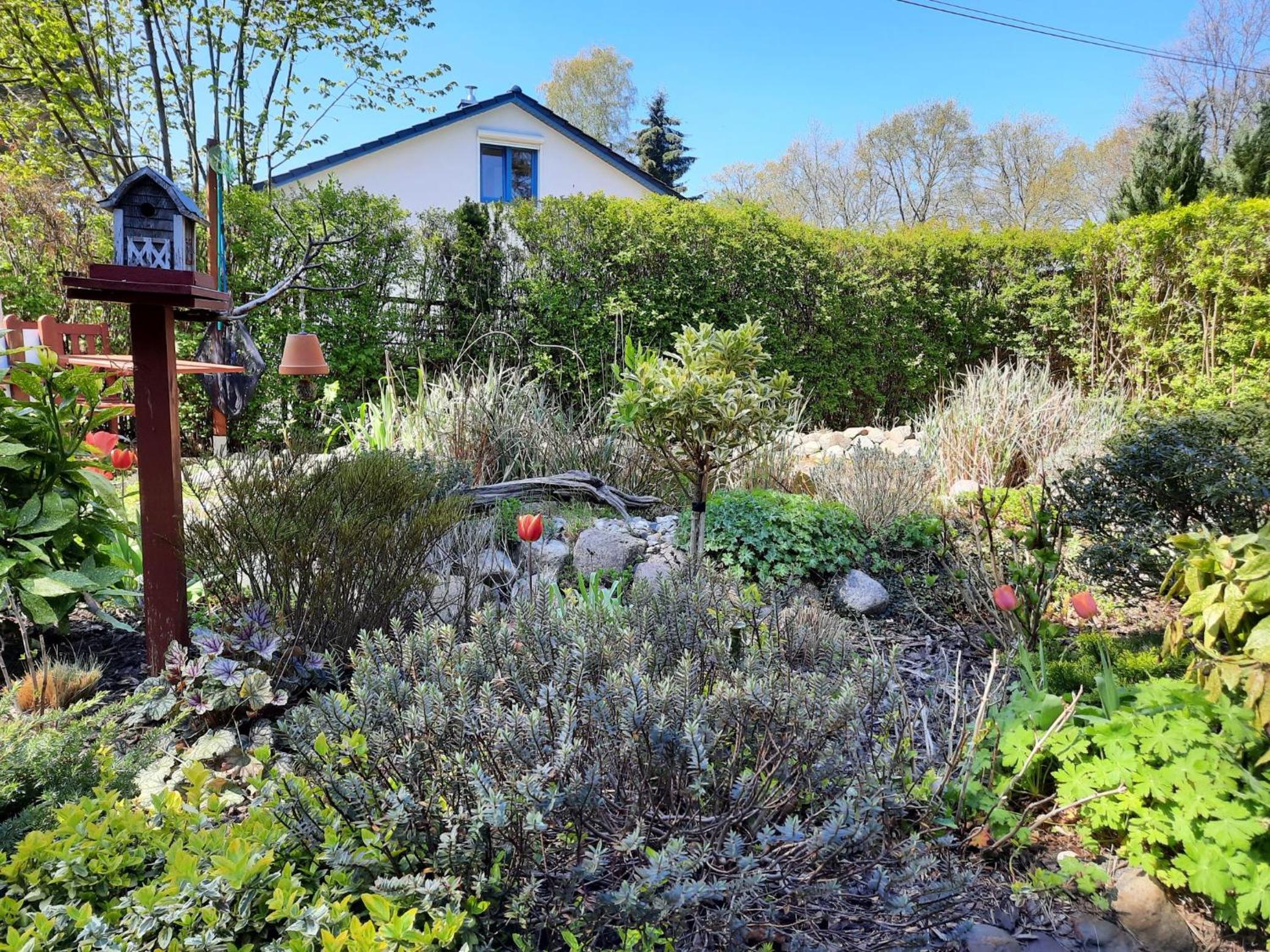 Bungalow Leonie