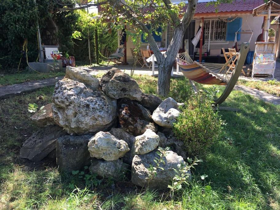 Photo 20