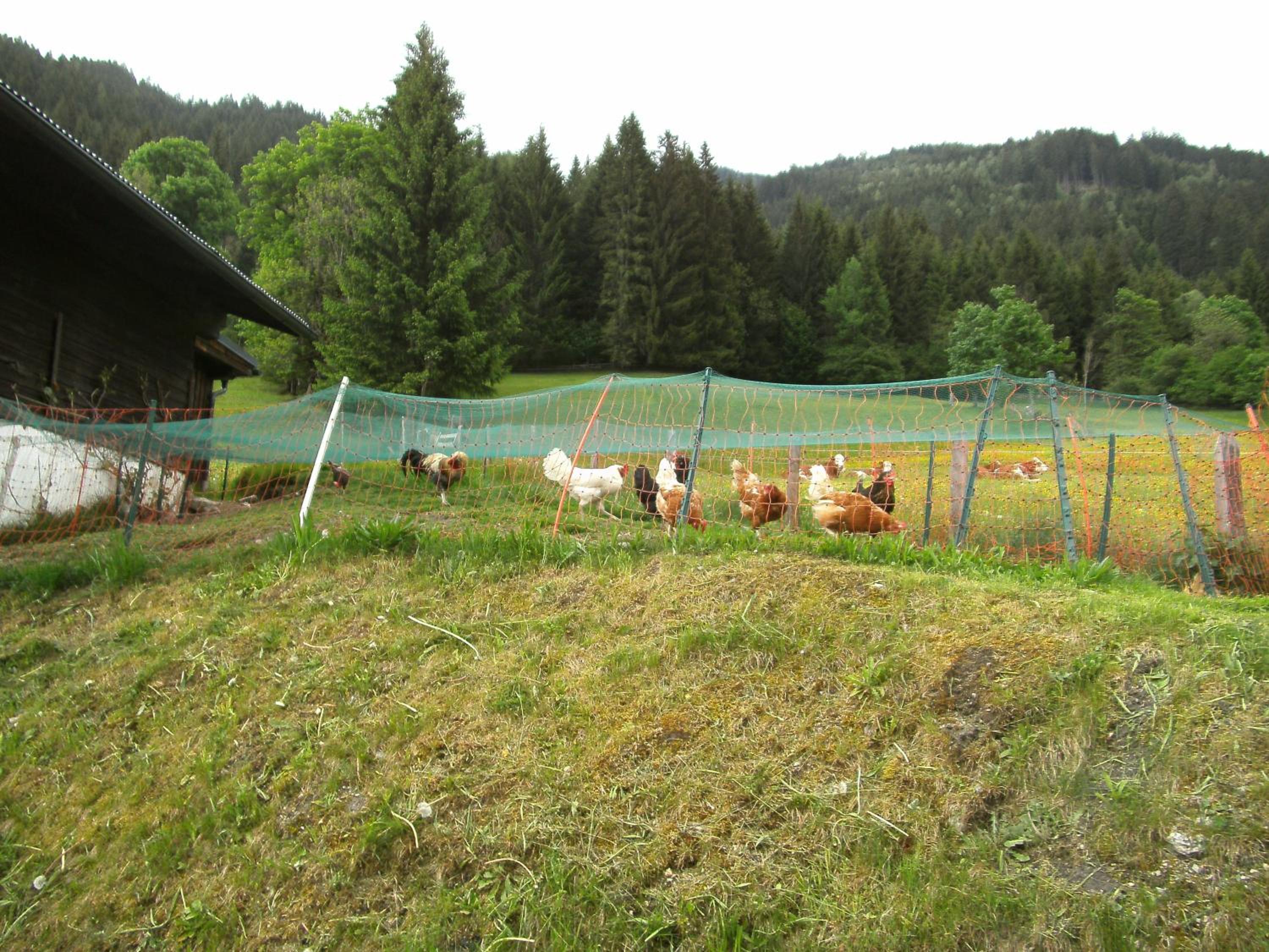 Gästehaus Zum Tauern