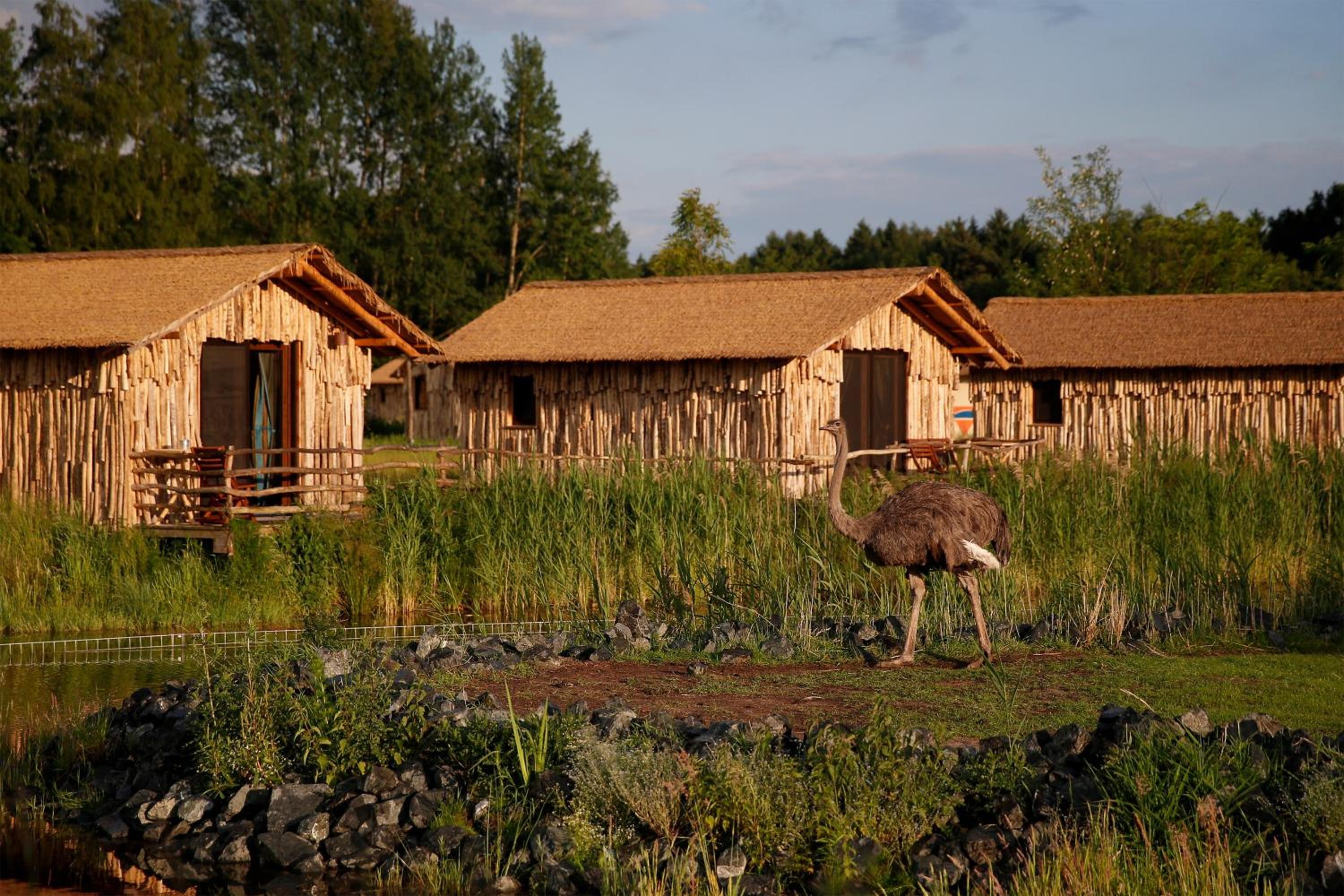 Serengeti Park Resort