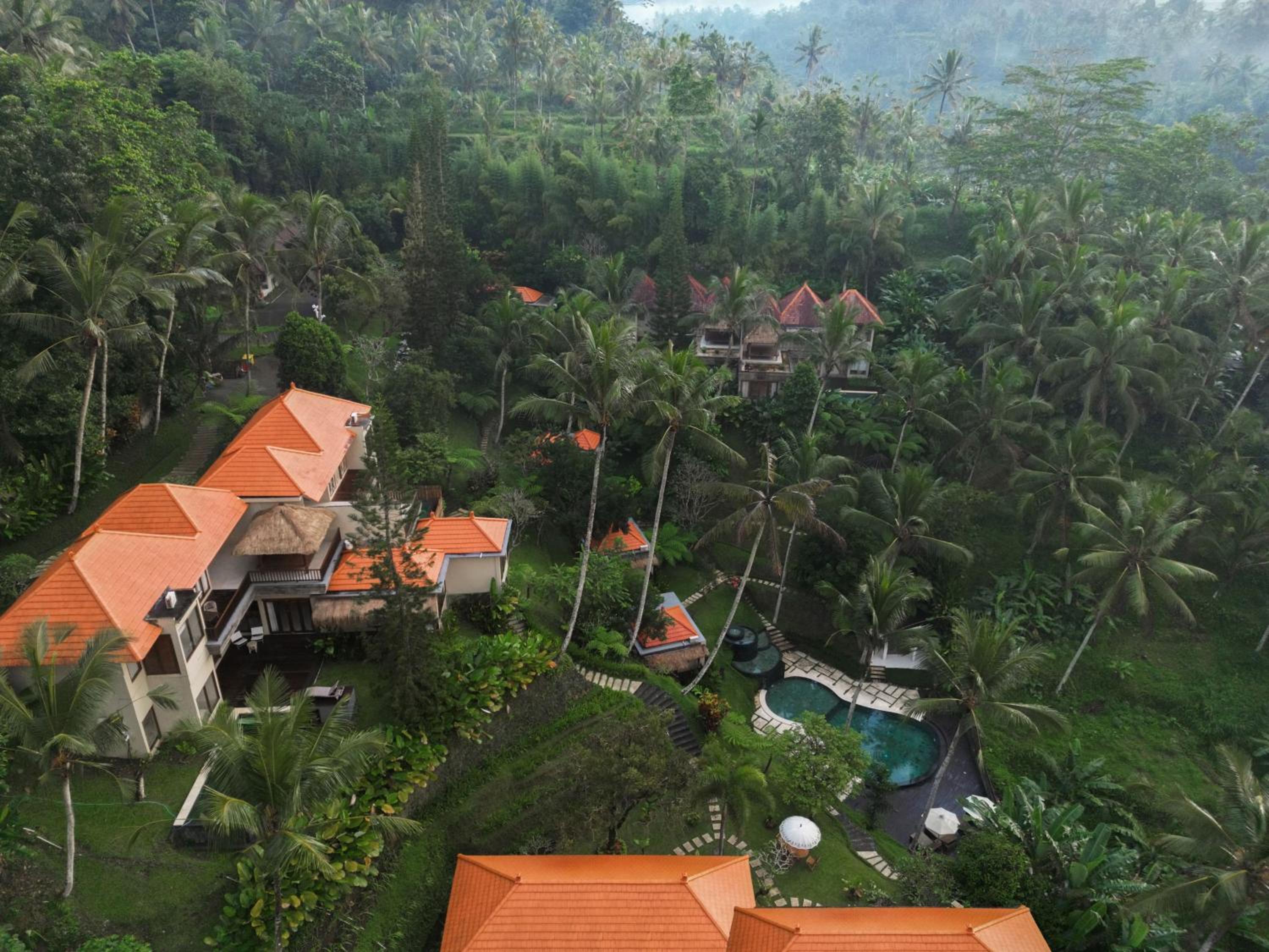 Tjendana Kanaka Jungle Resort Ubud view 5