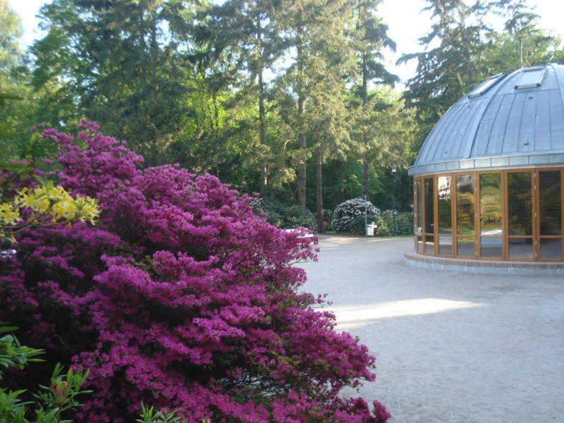 Ferienhaus kleine Perle