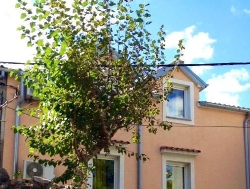Punat Croatia apartment