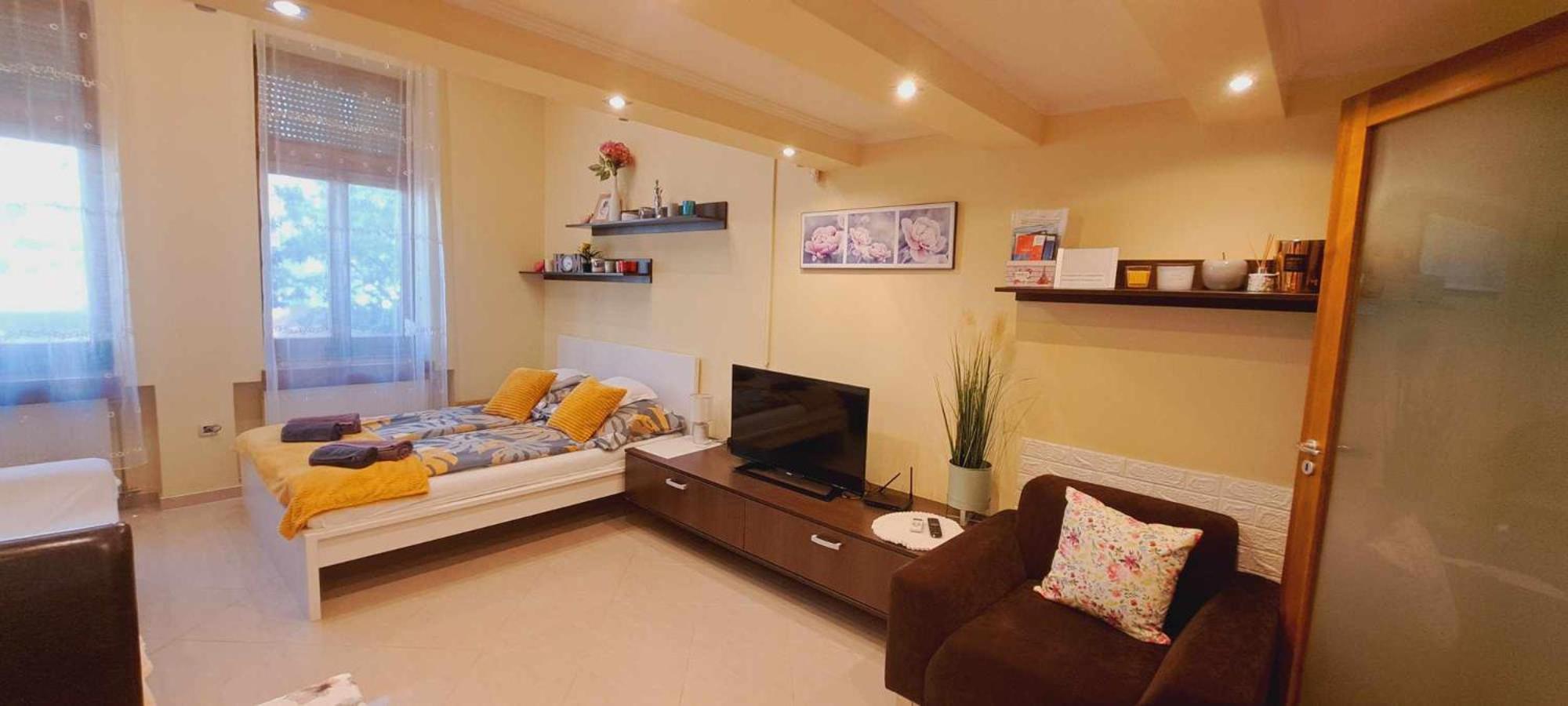 Szandi Belvárosi Apartman view 5