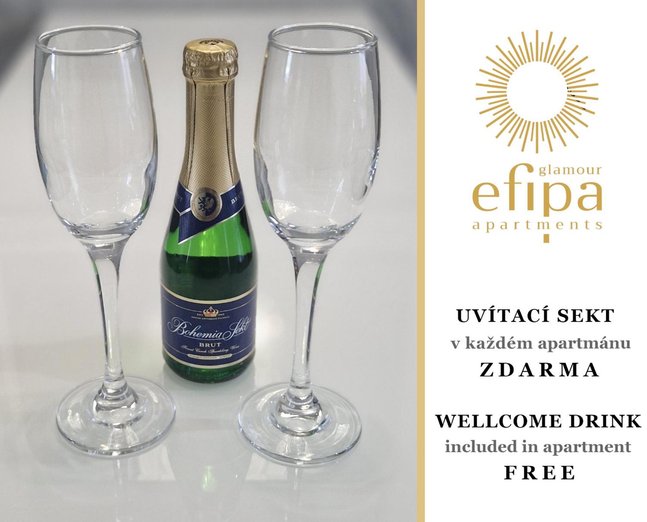 EFIPA Glamour Apartments