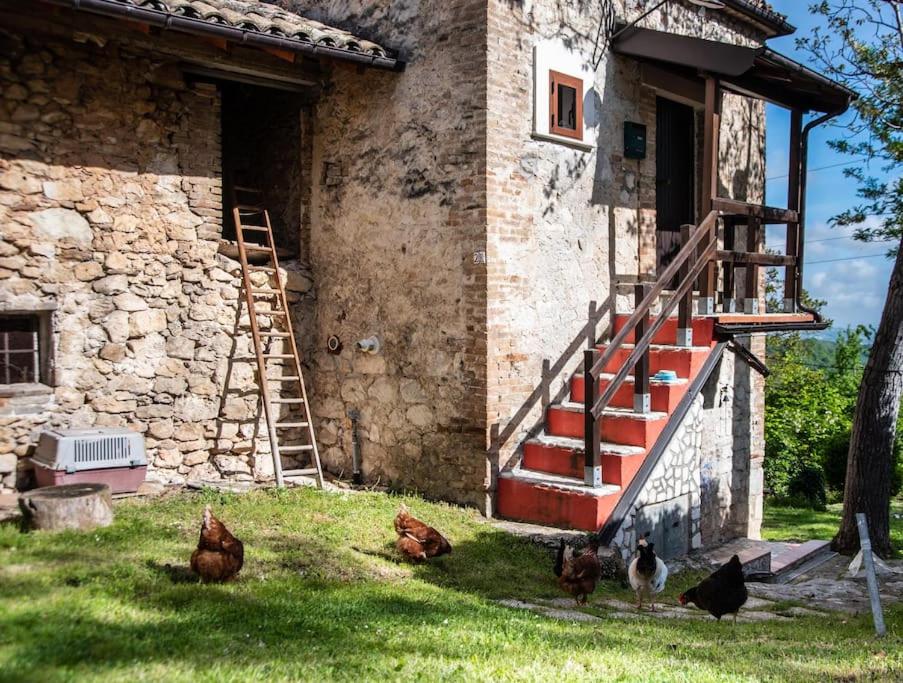 Il Rifugio del Cacciatore / The Hunter's Shelter view 5