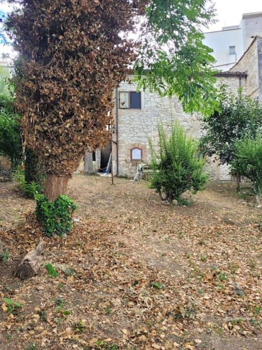 Photo 29