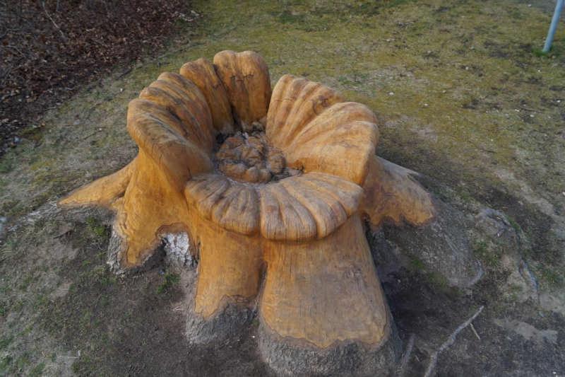 große Kastanie 57 - zwischen Ostsee und Zentrum