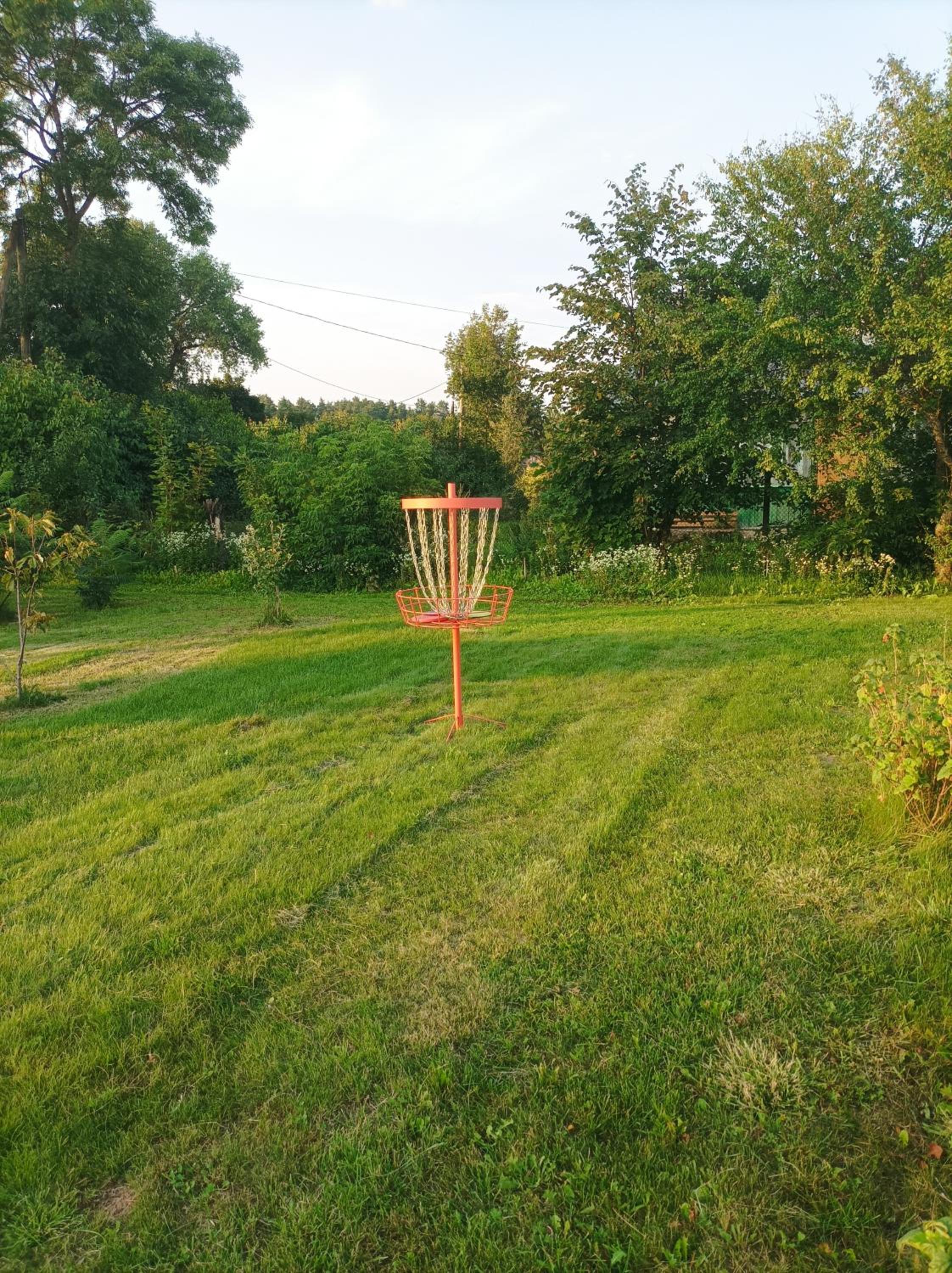 Photo 41