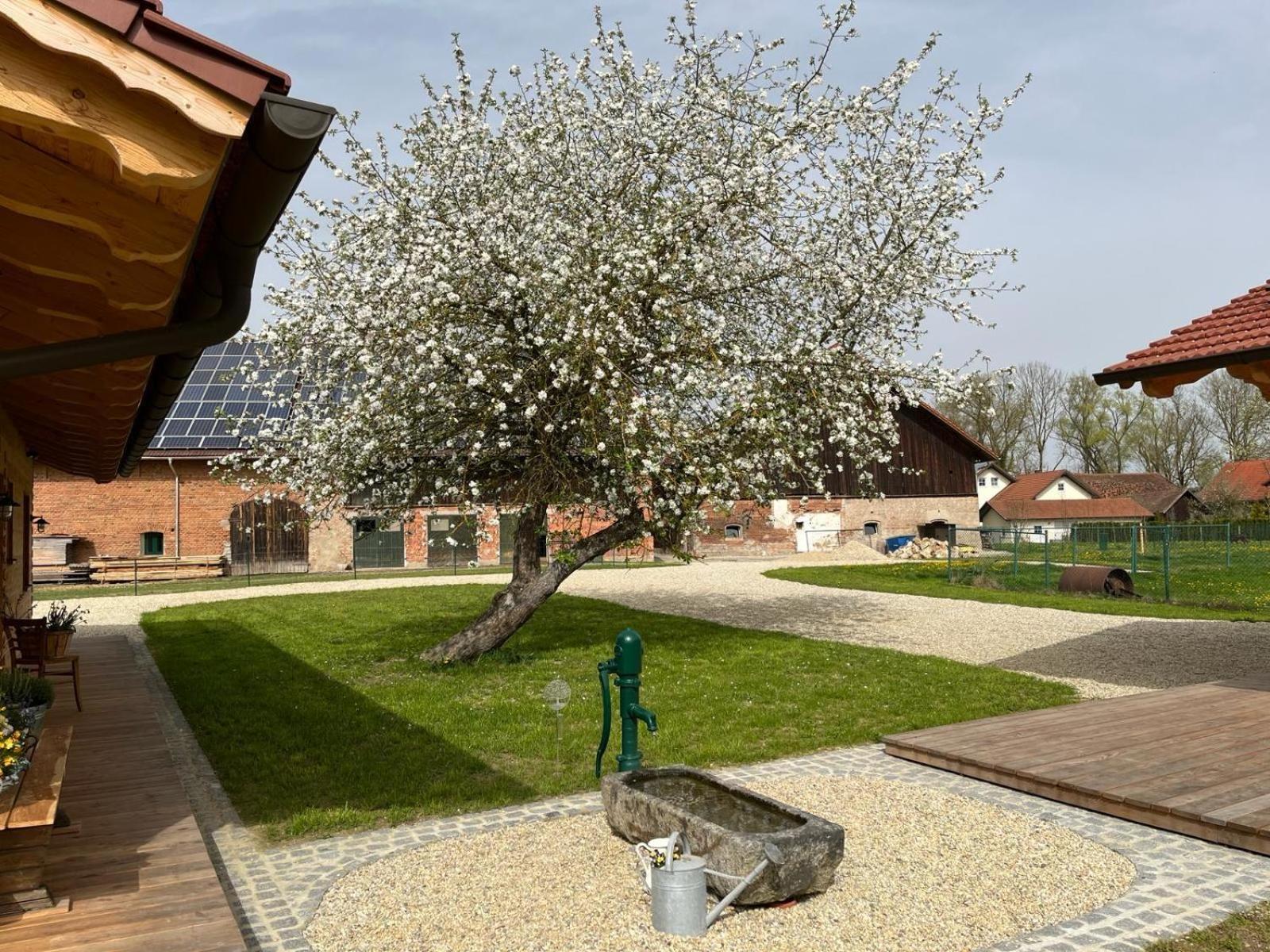 Chalets am Duschl-Hof