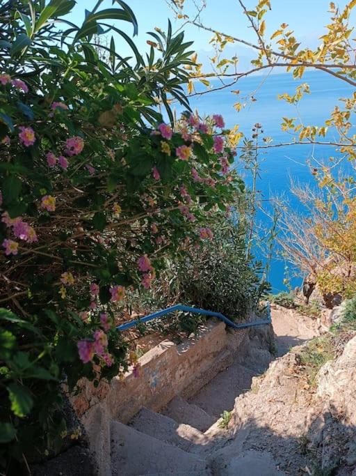 Antalya'nın kalbindeki huzur