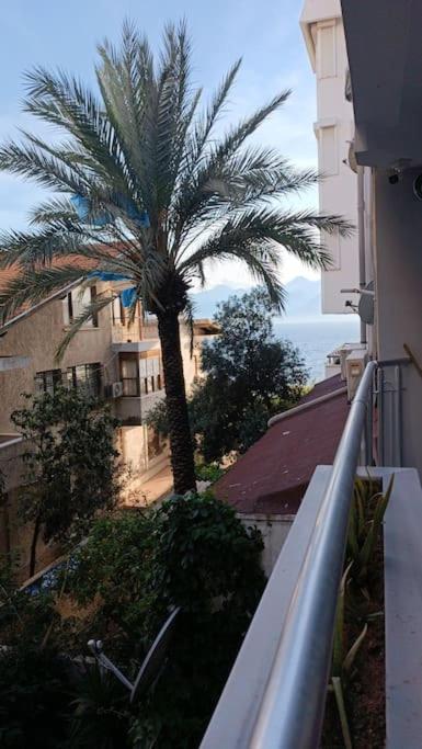 Antalya'nın kalbindeki huzur