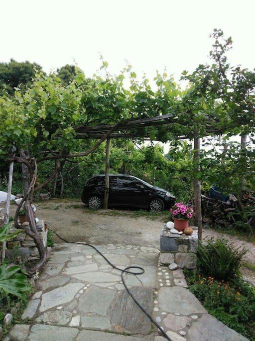 Photo 47