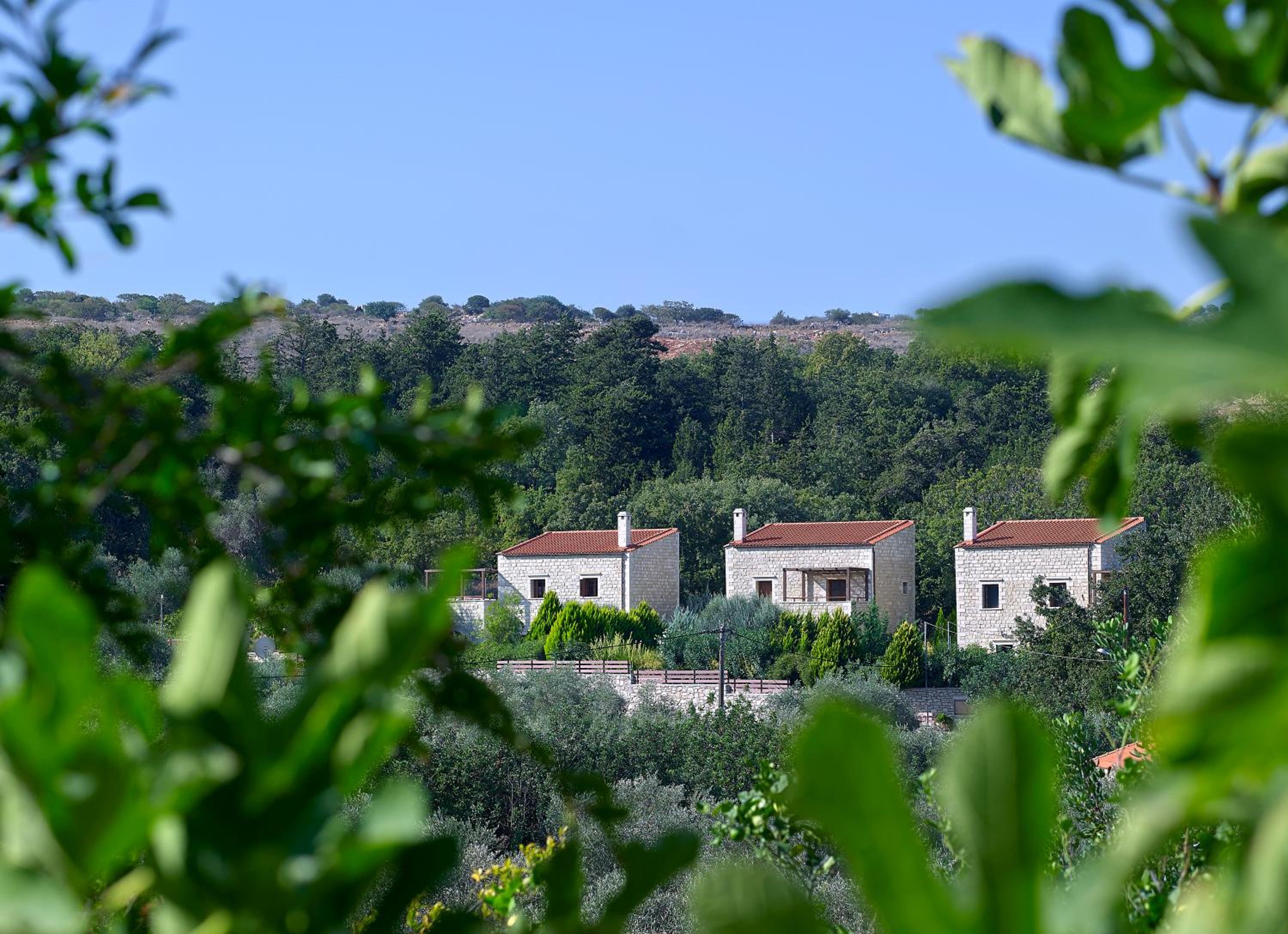 Vederi Estate