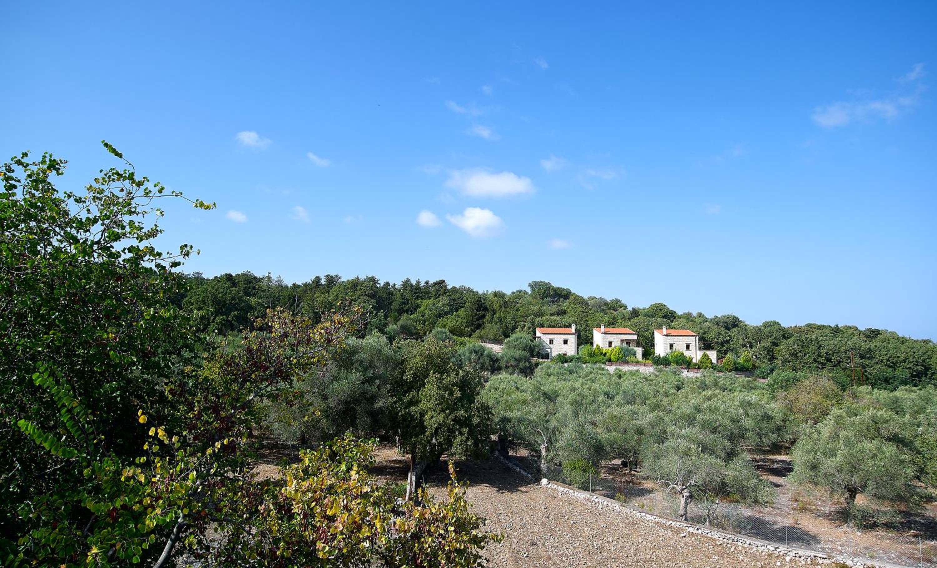Vederi Estate