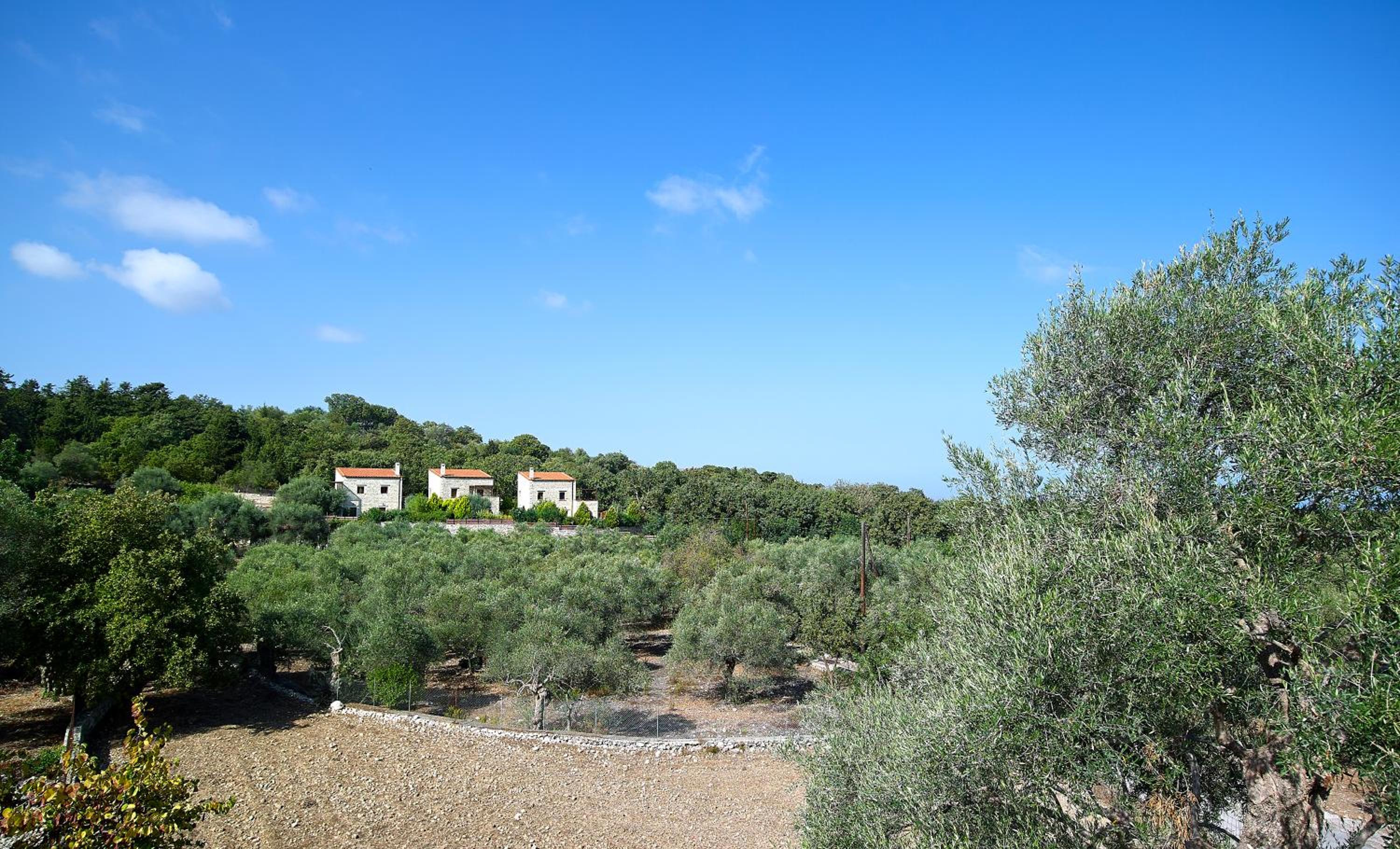 Vederi Estate