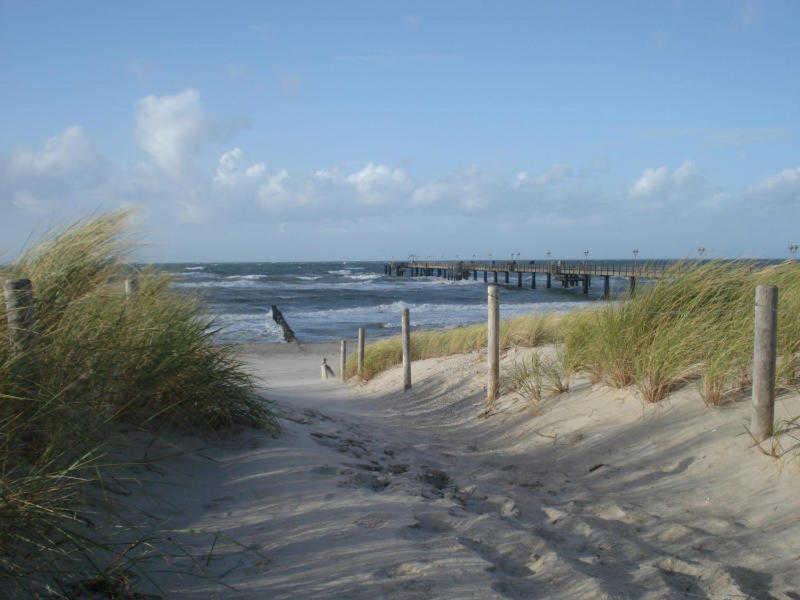 Langer Strandhafer 31