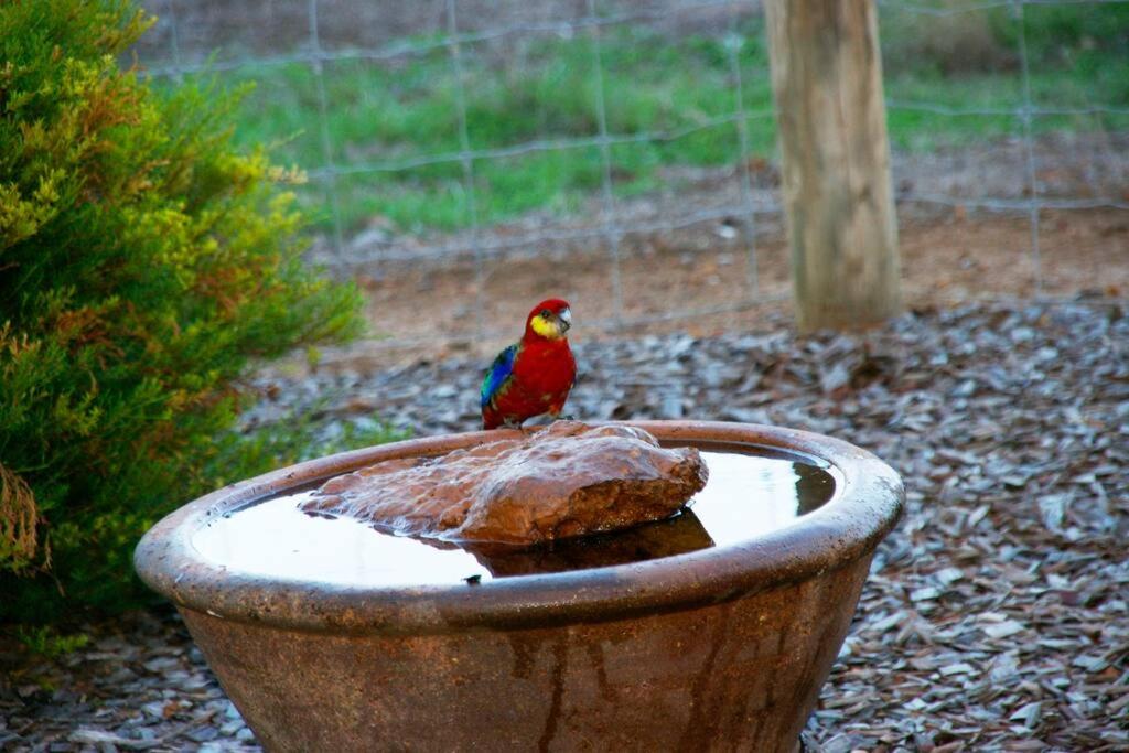 Swallows Cottage, Margaret River