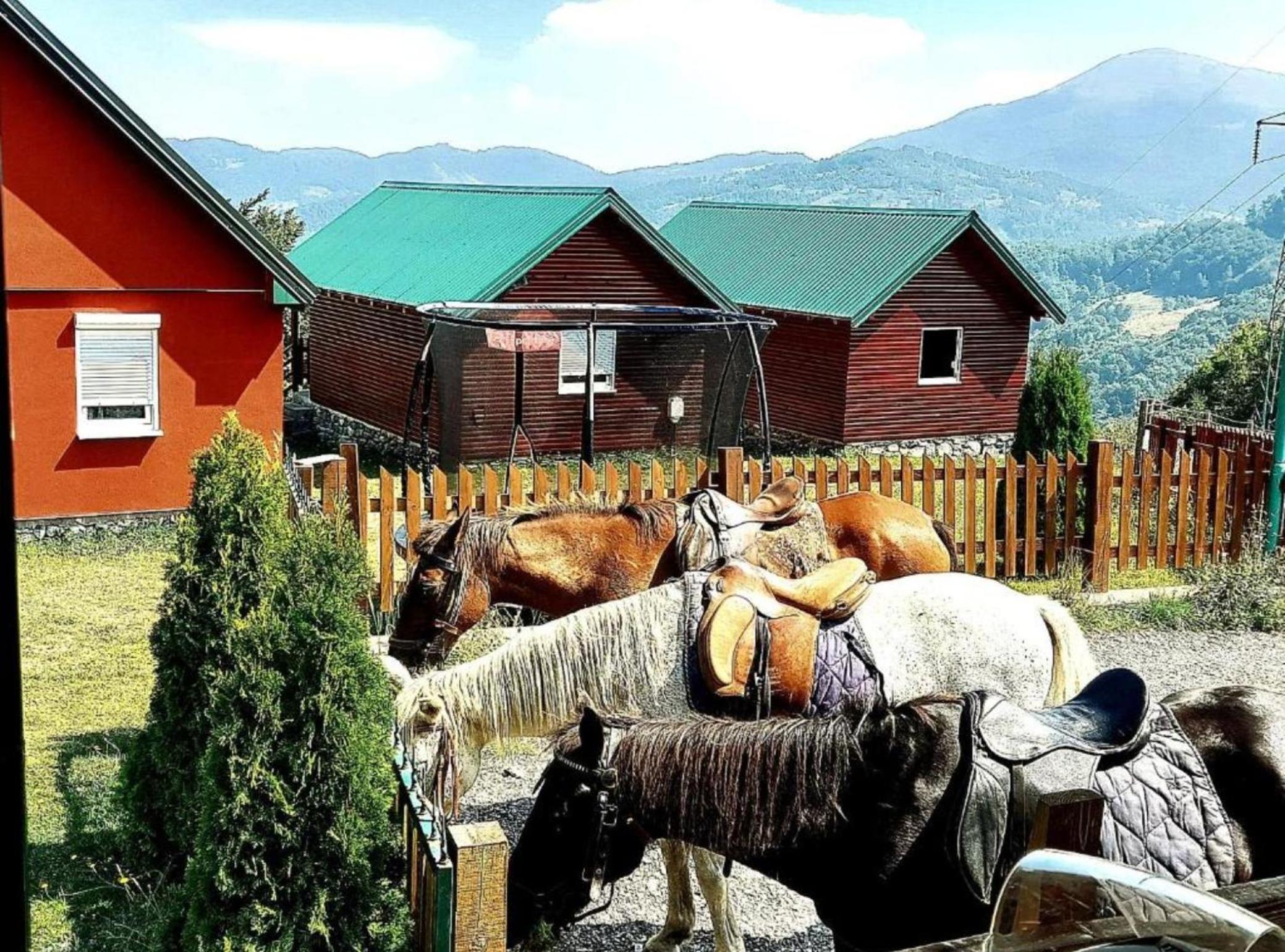 Eco Village Mojkovac