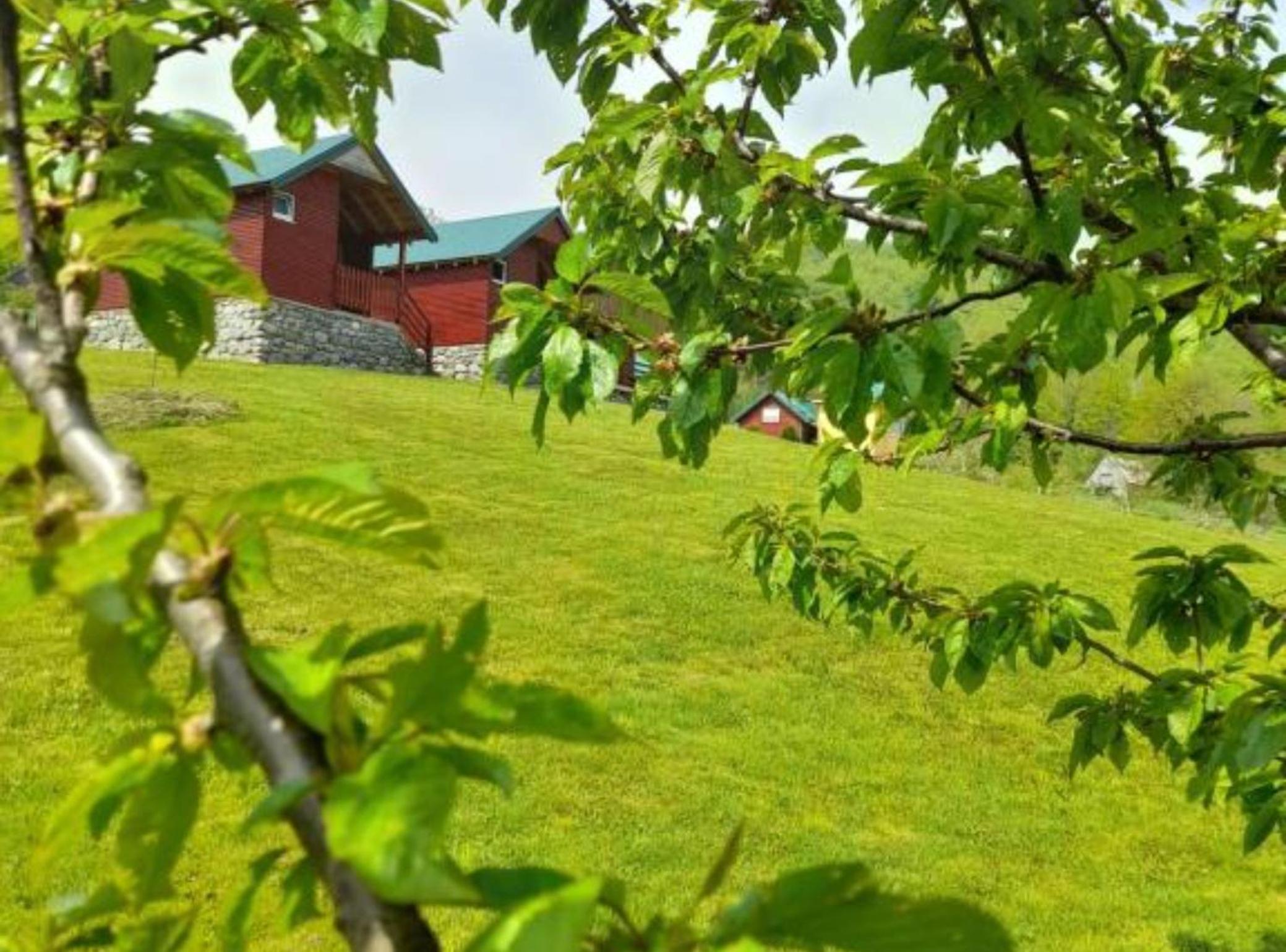 Eco Village Mojkovac