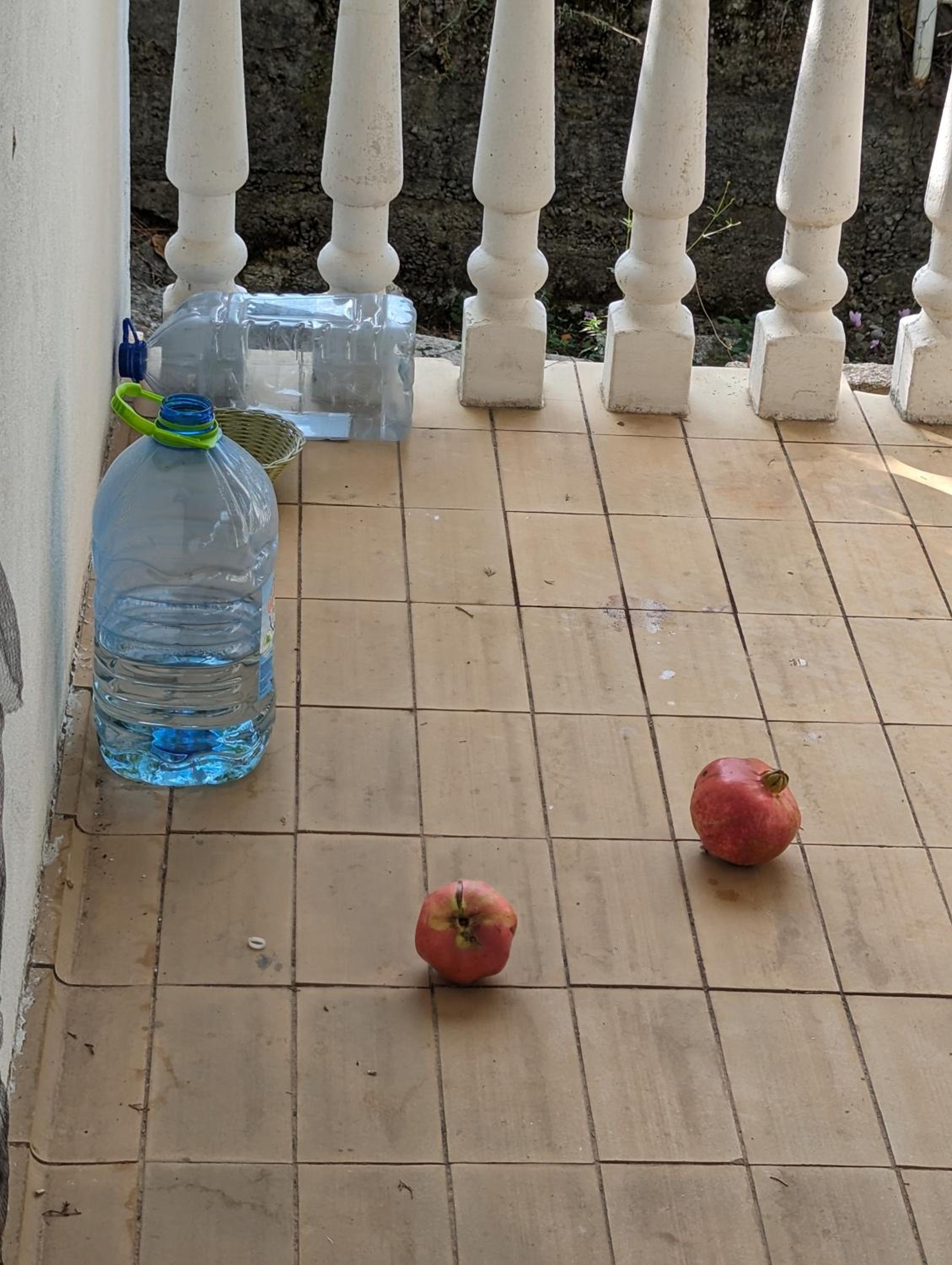 Baha'i Hostel