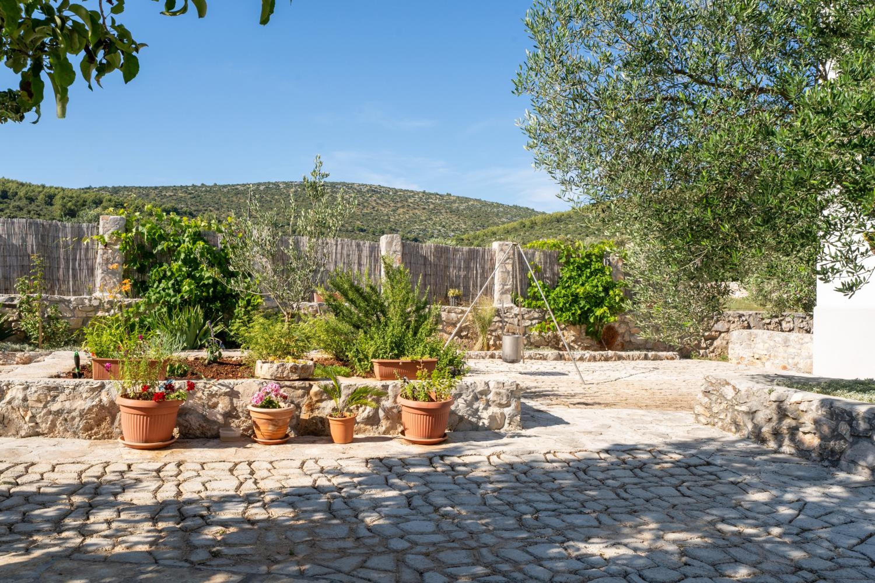 Villa Aria - peaceful olive grove & swimming pool