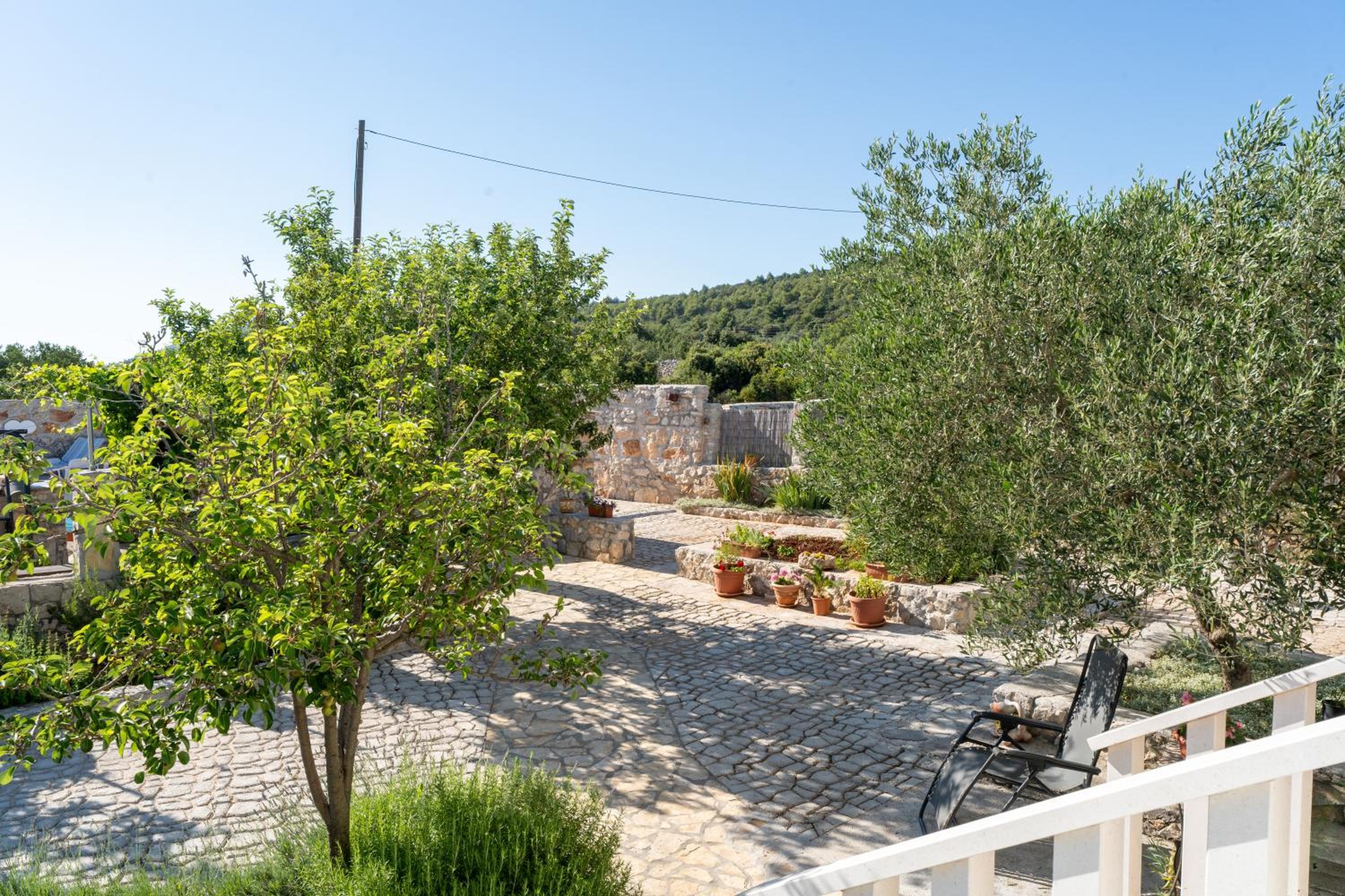 Villa Aria - peaceful olive grove & swimming pool