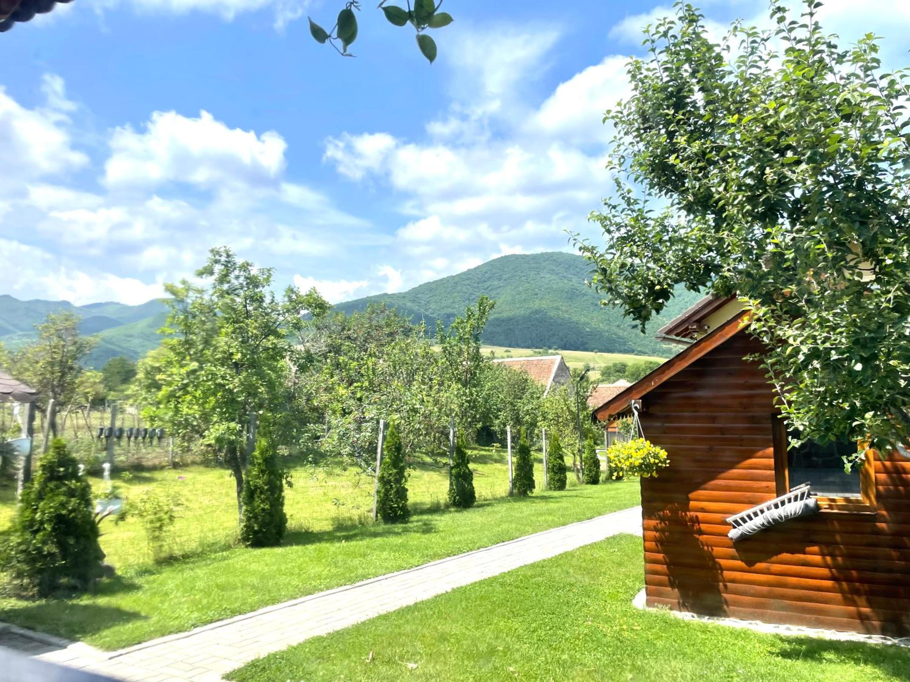 Casa de vacanță view 4