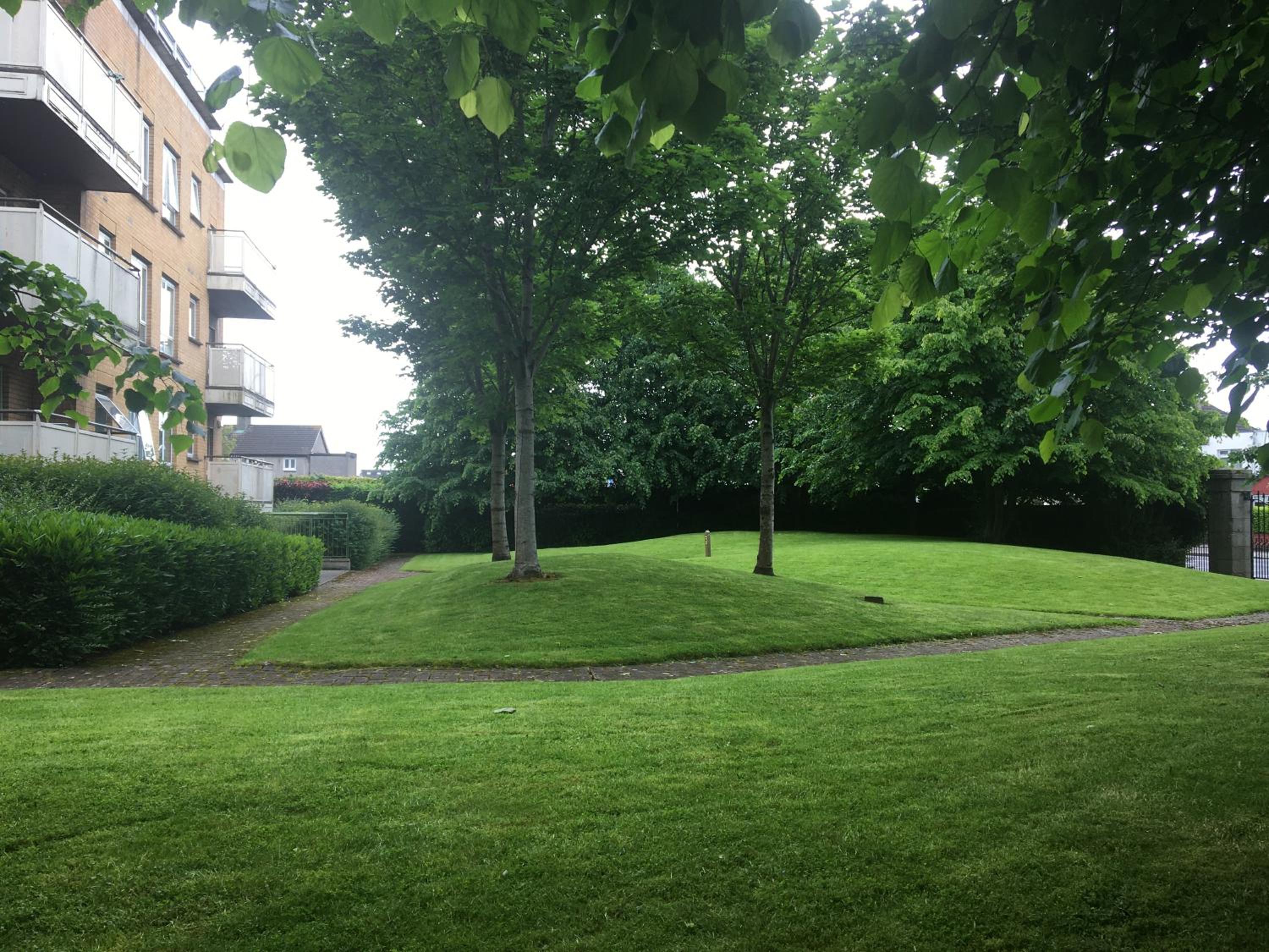 Central Spacious 3 Bedroom Apartment With Parking