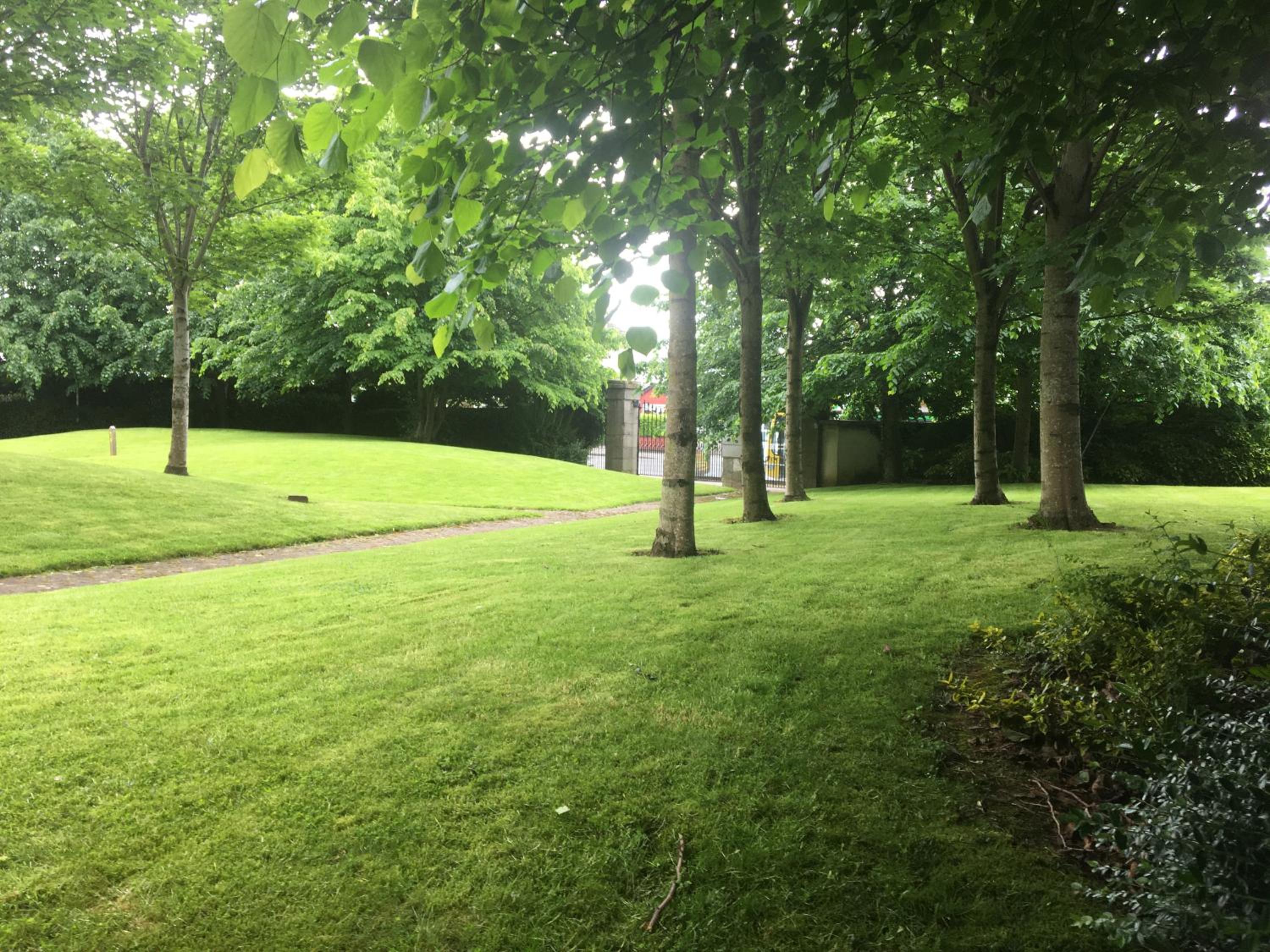 Central Spacious 3 Bedroom Apartment With Parking