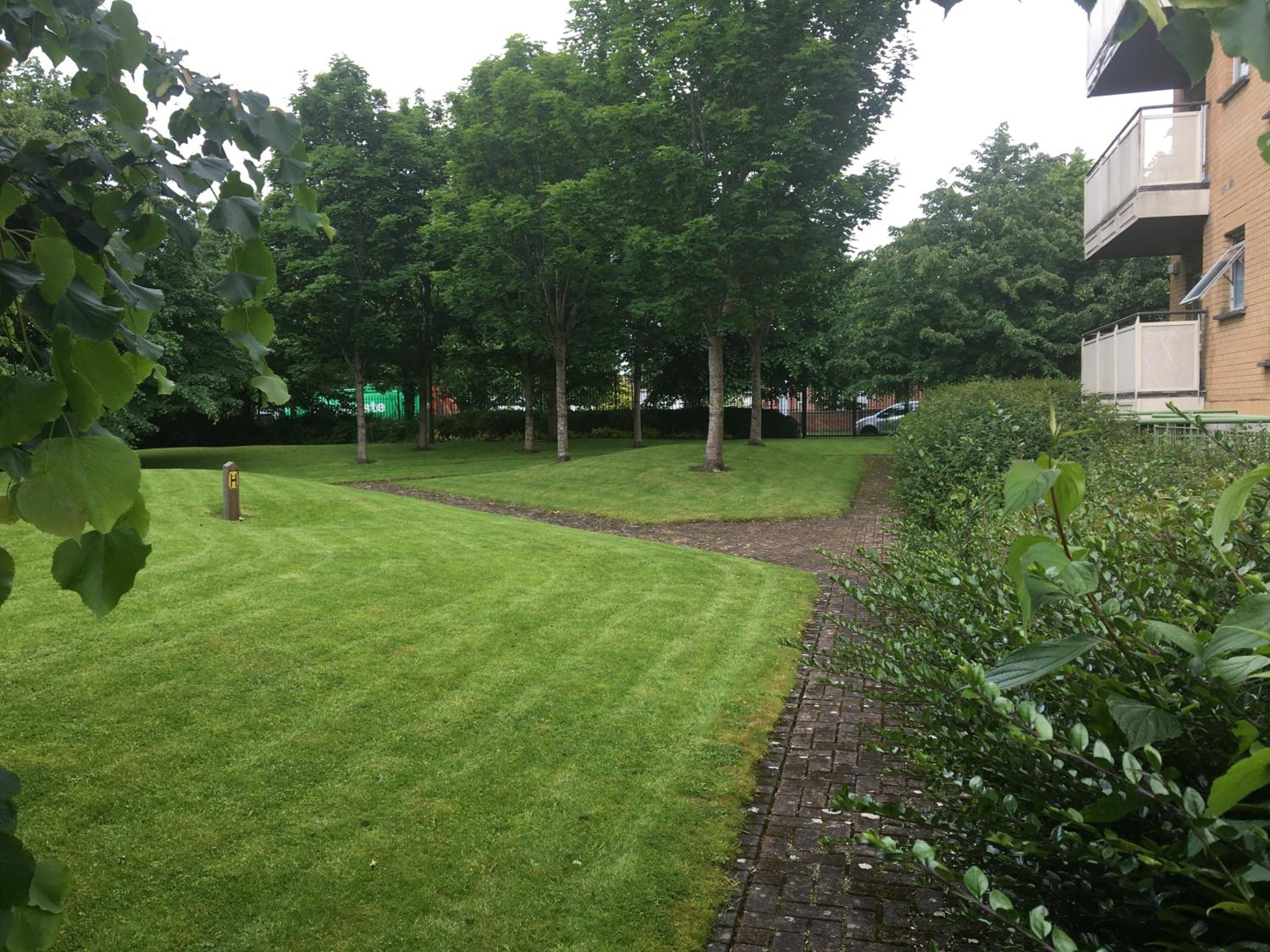 Central Spacious 3 Bedroom Apartment With Parking