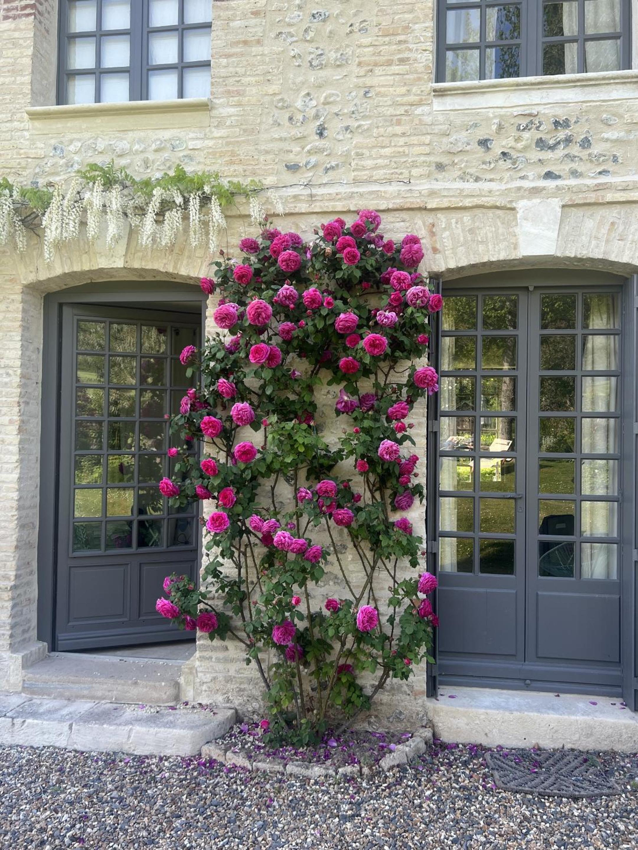 La Maison d'Aline - Honfleur - Maison d'Hôte De Charme A La Normande view 4