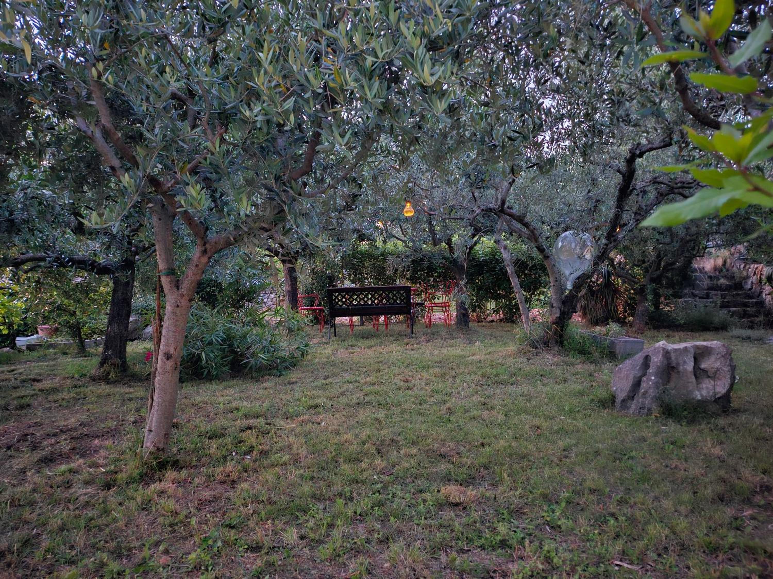 Apartmani Purić