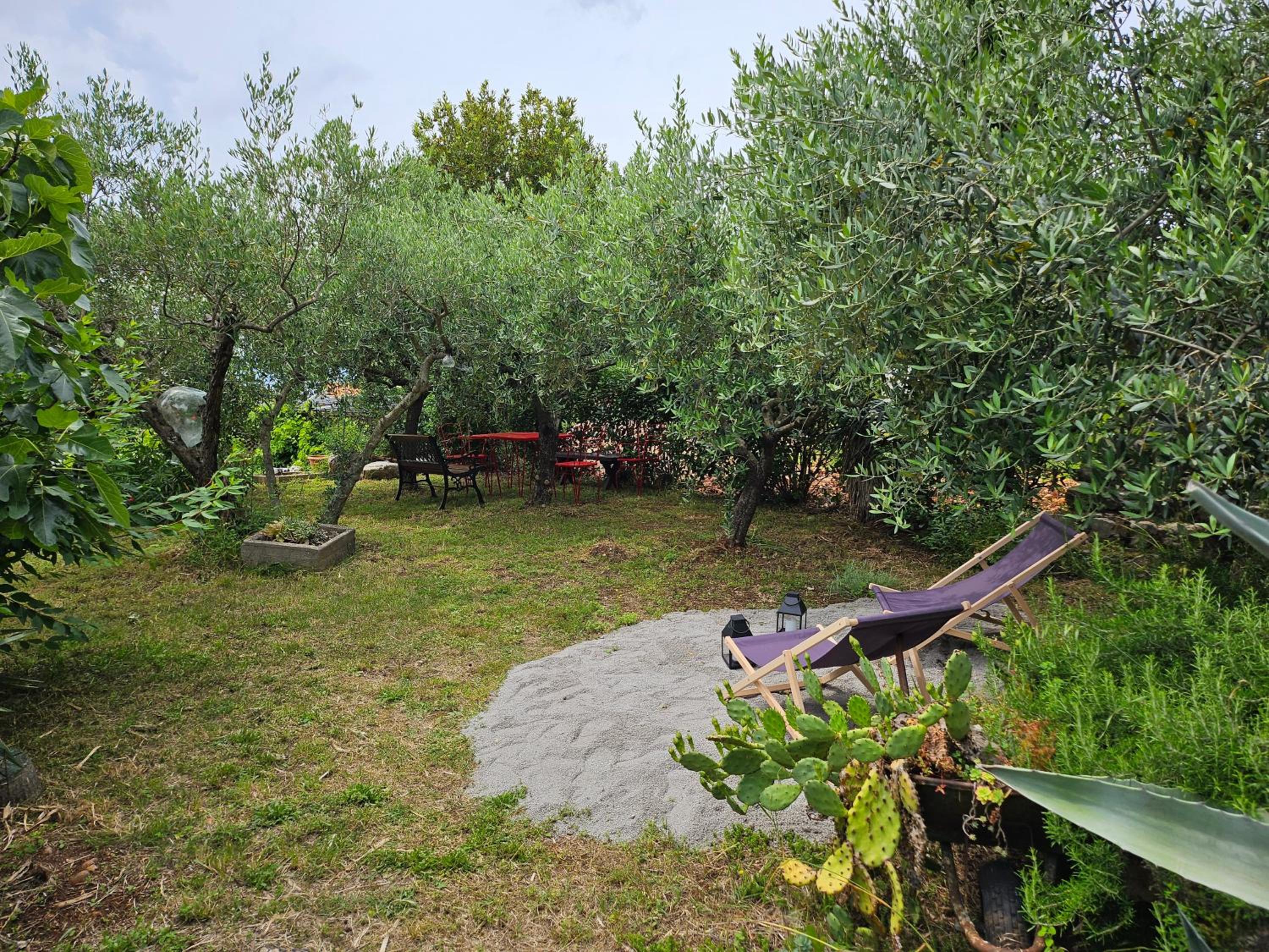 Apartmani Purić
