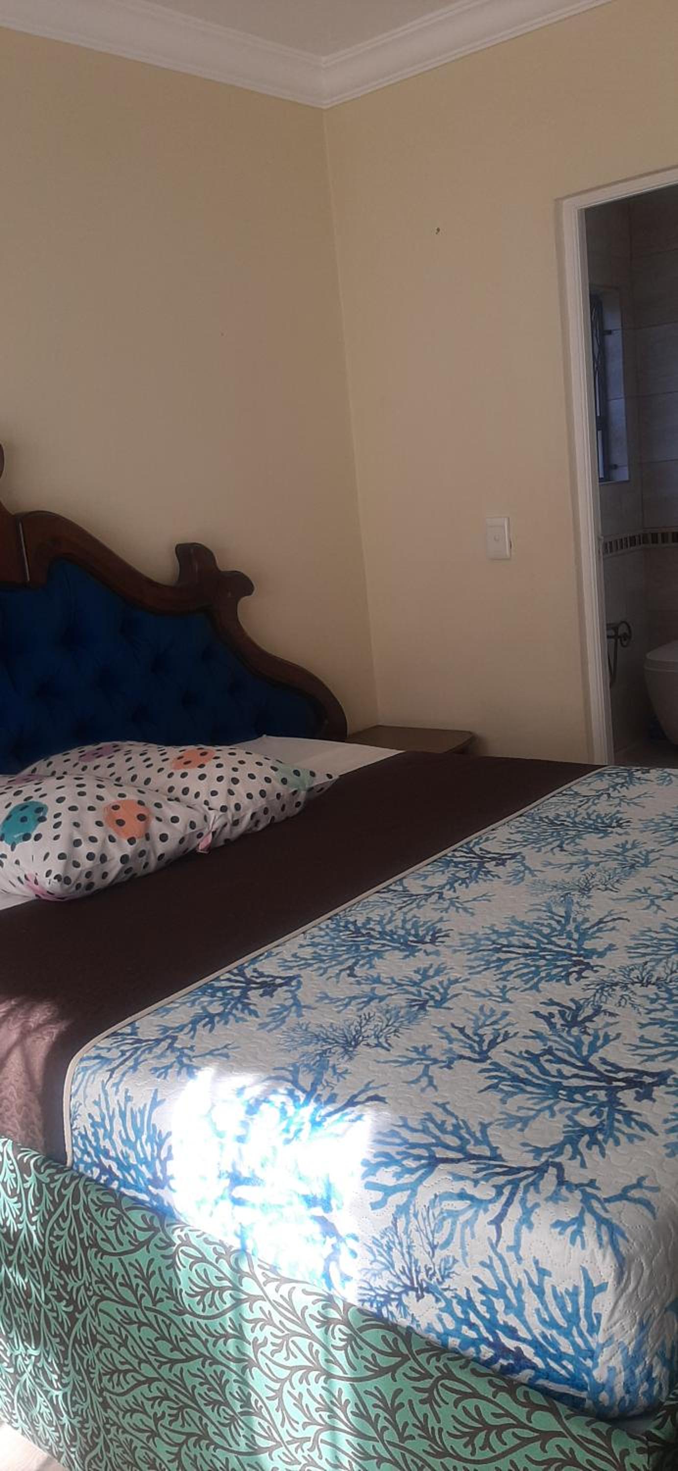 Alpha inn guest house accommodation view 3