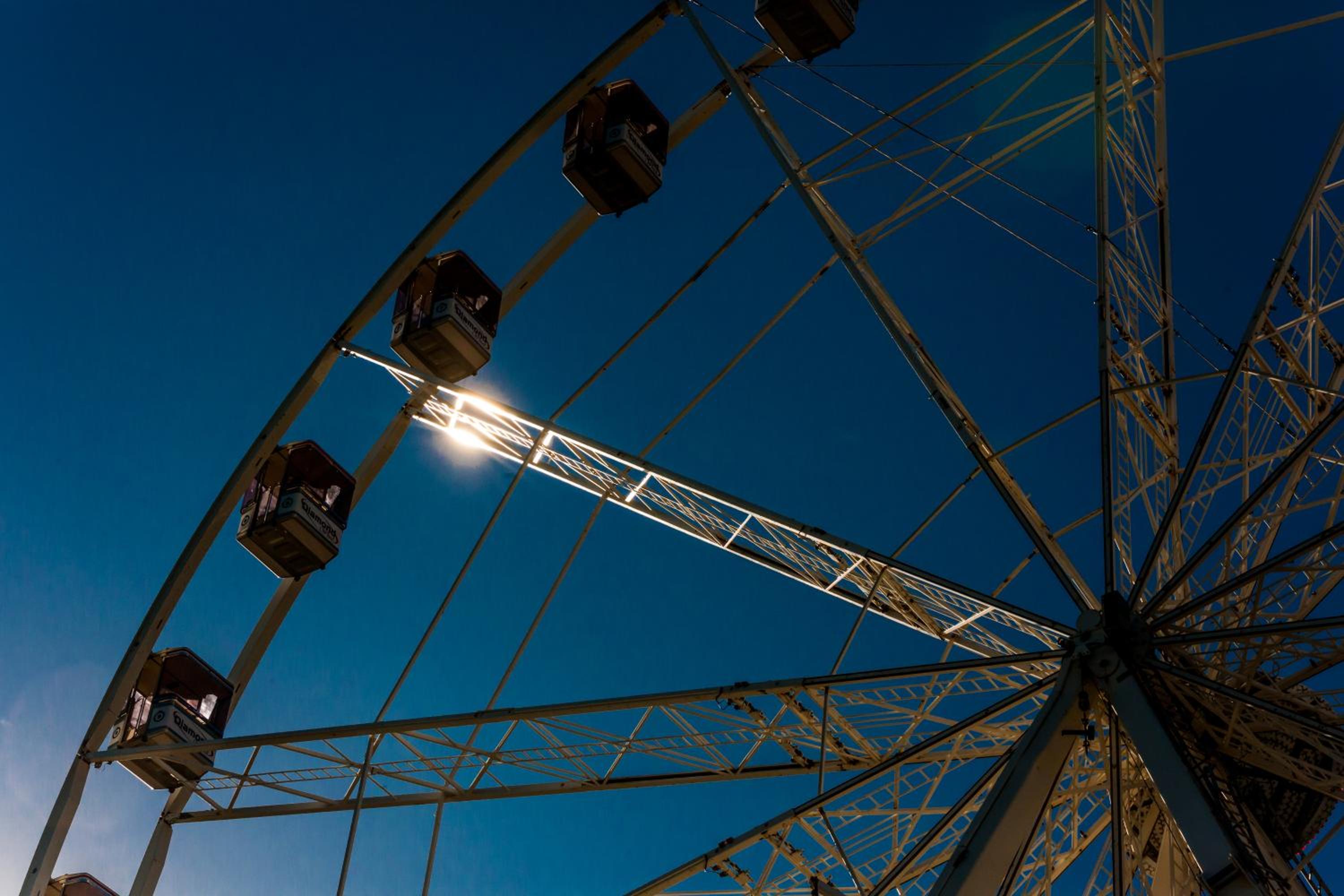 Photo 50