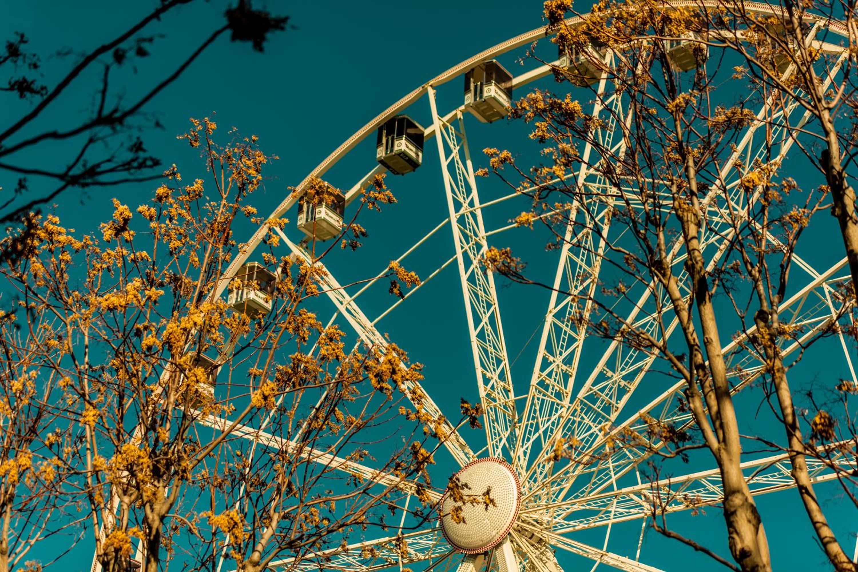 Photo 45