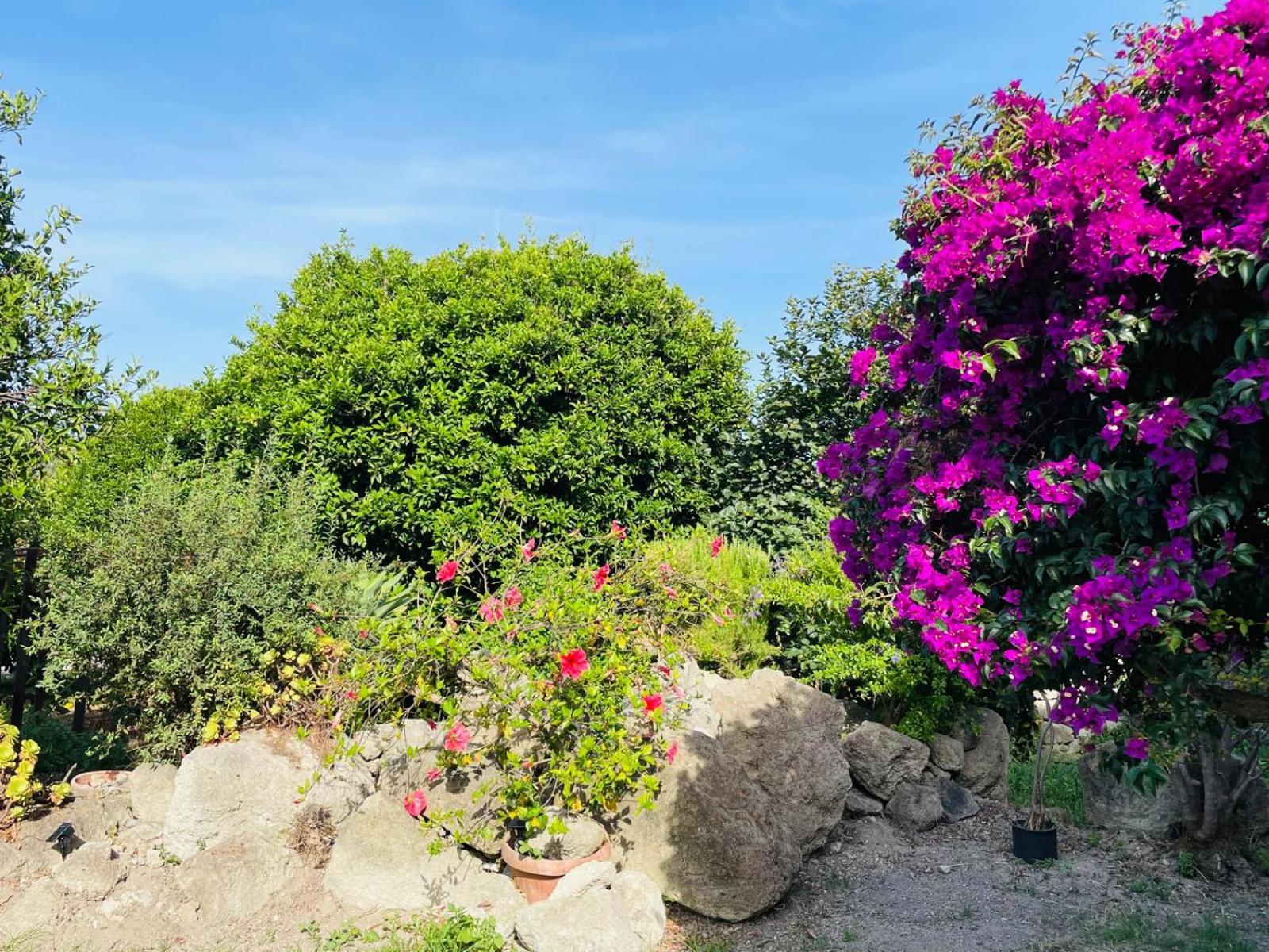Casa vacanza - O chian 'e Zizza Moscia photo 2