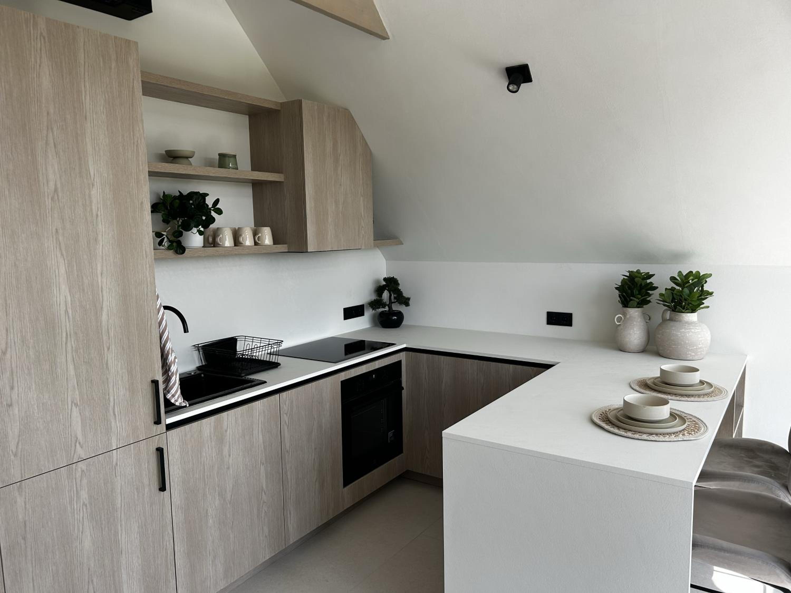 Air Apartment Palanga view 3