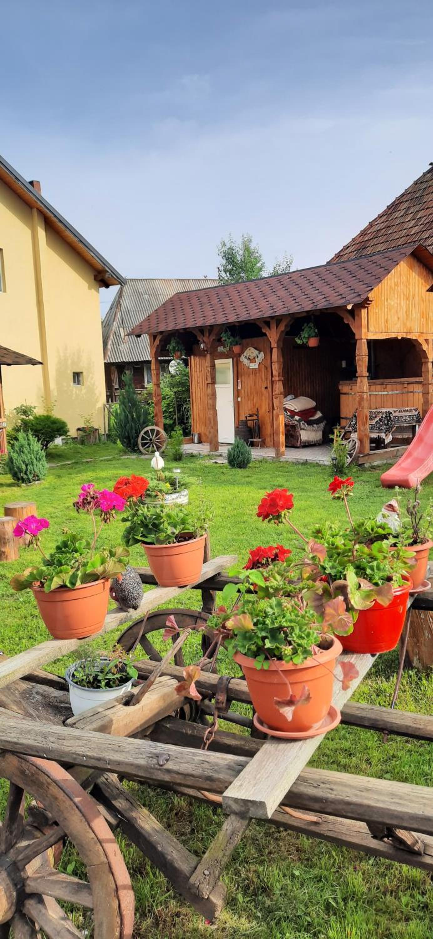 Casa Pintea de Sub Coastă view 2