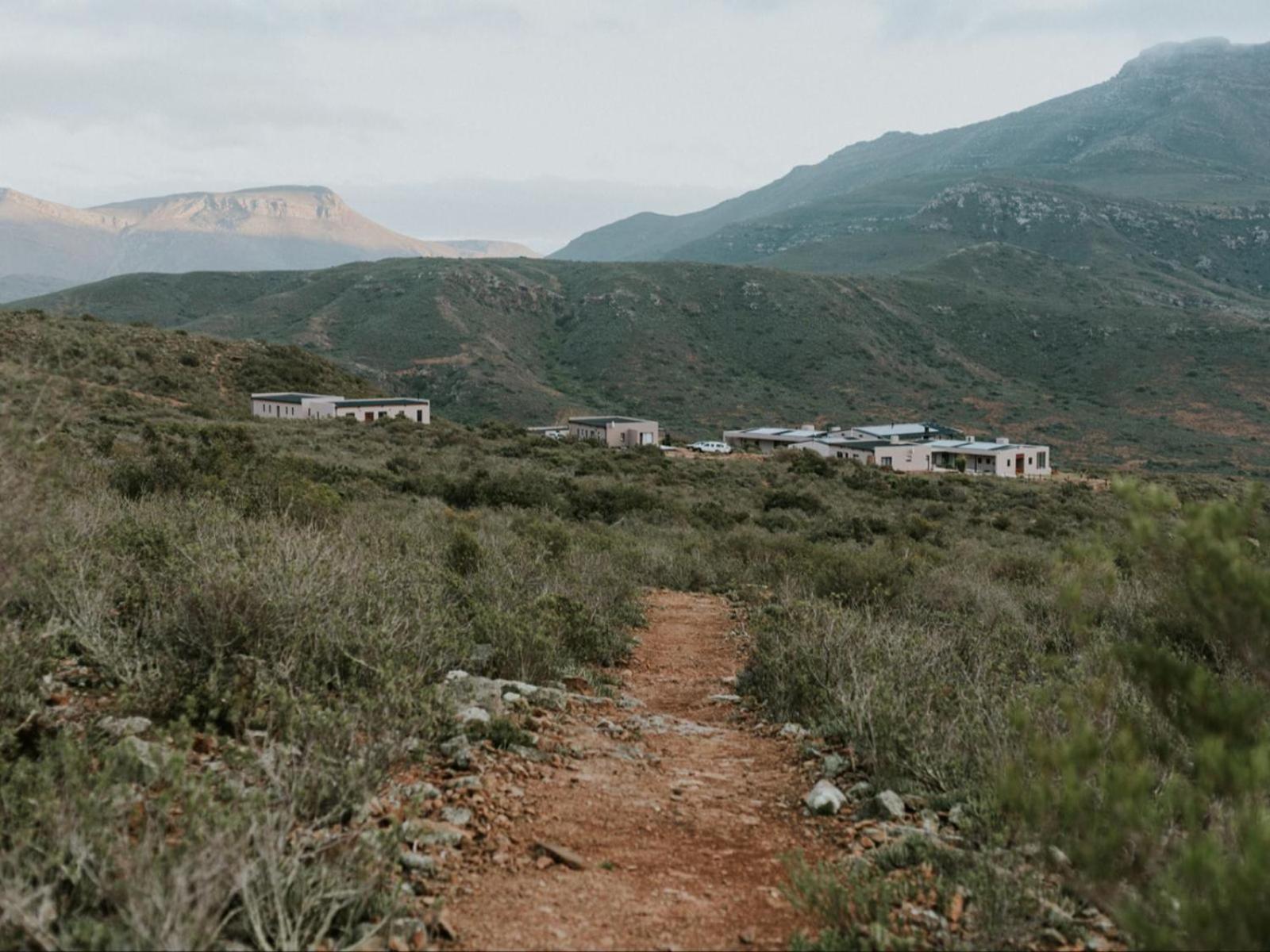 Photo 72