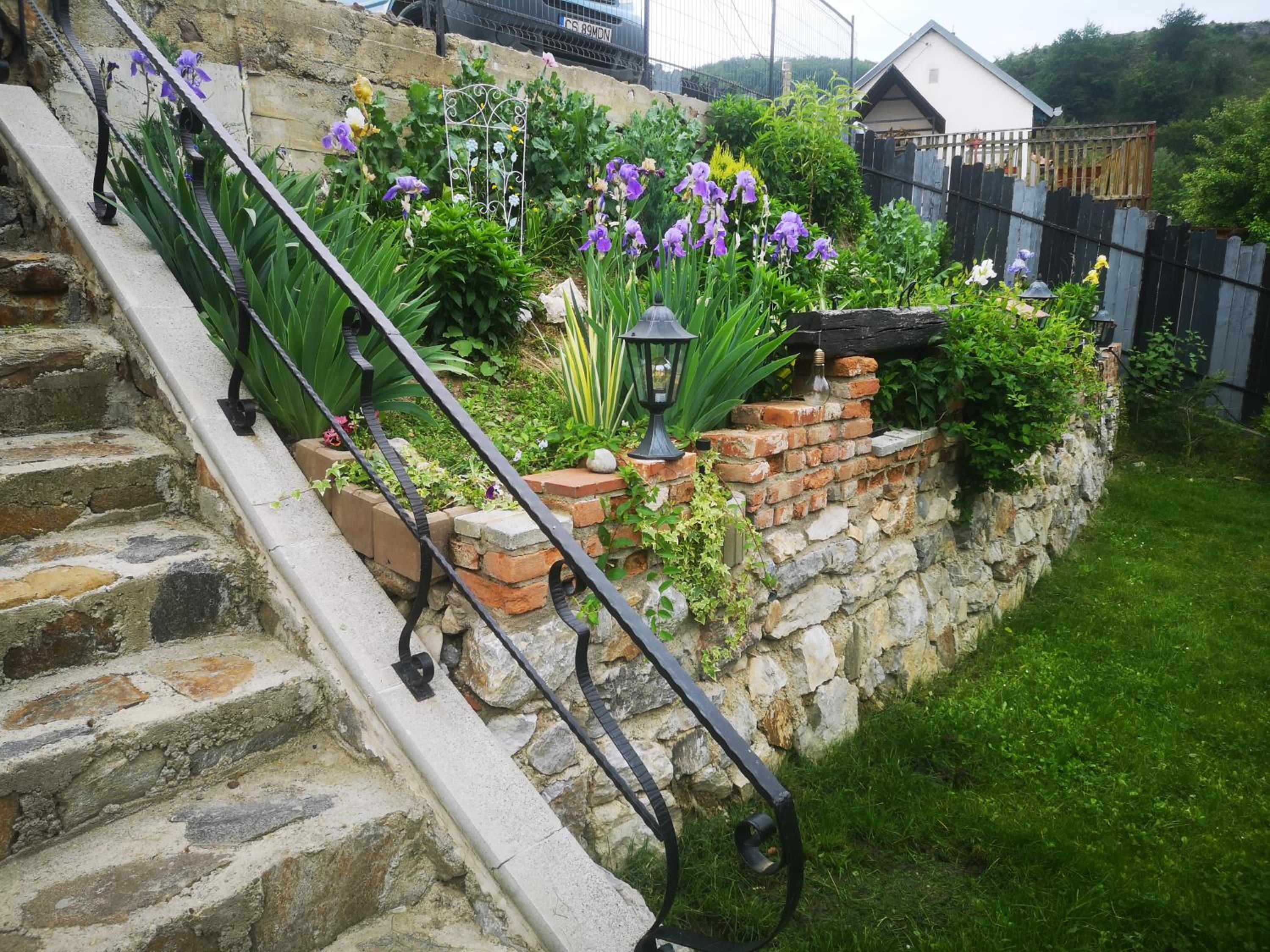 Photo 20