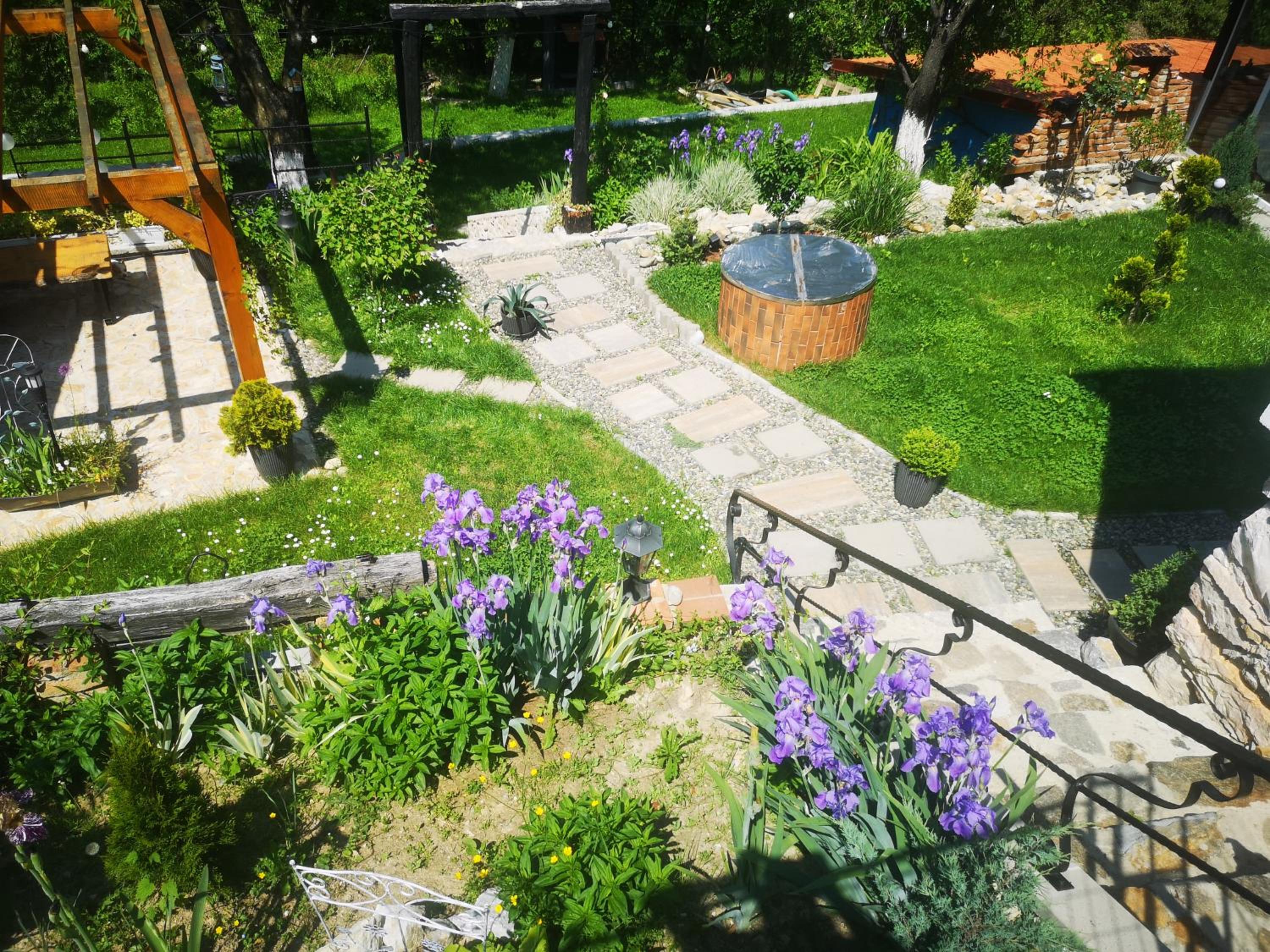 Photo 19