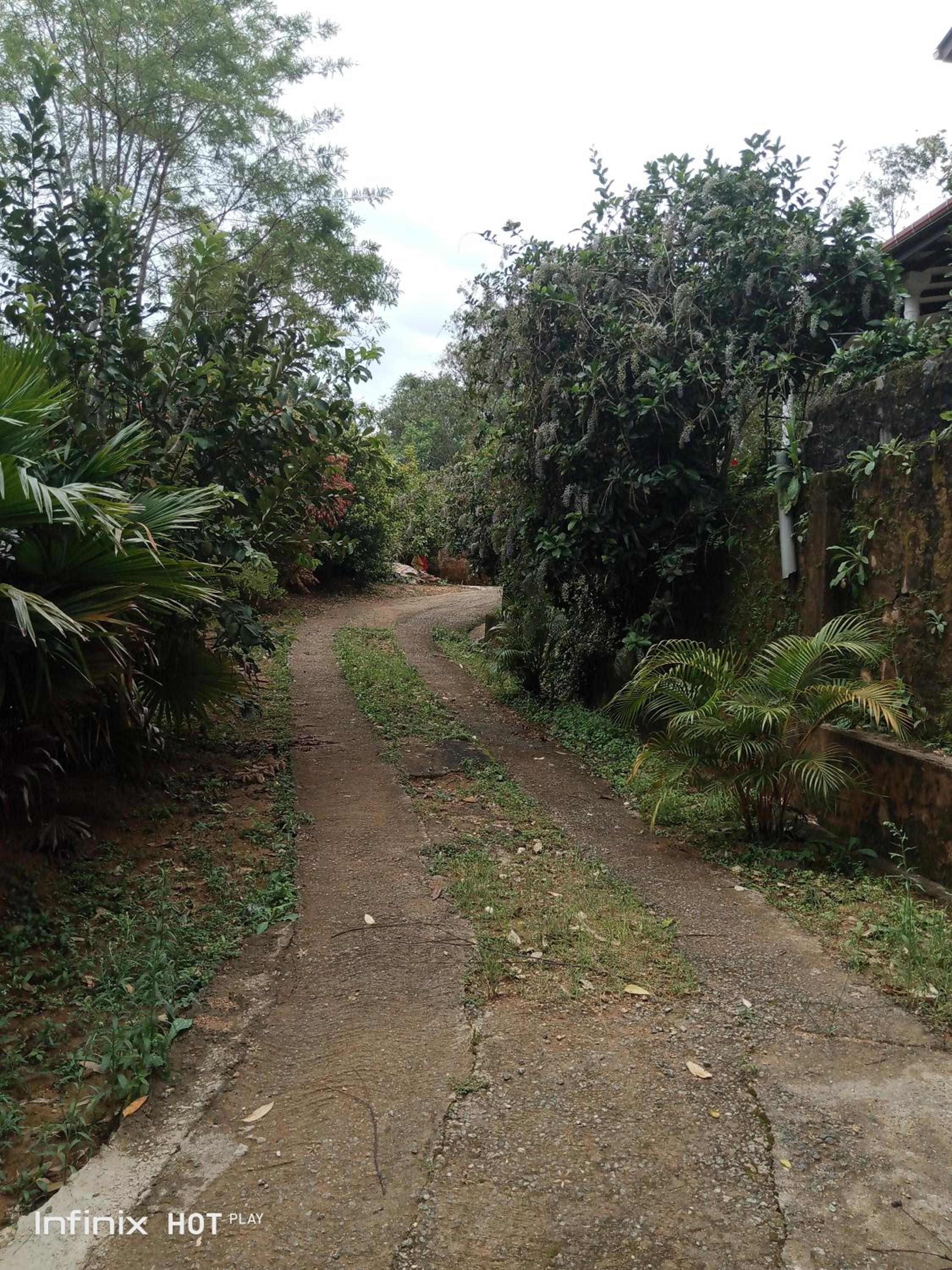 Photo 20