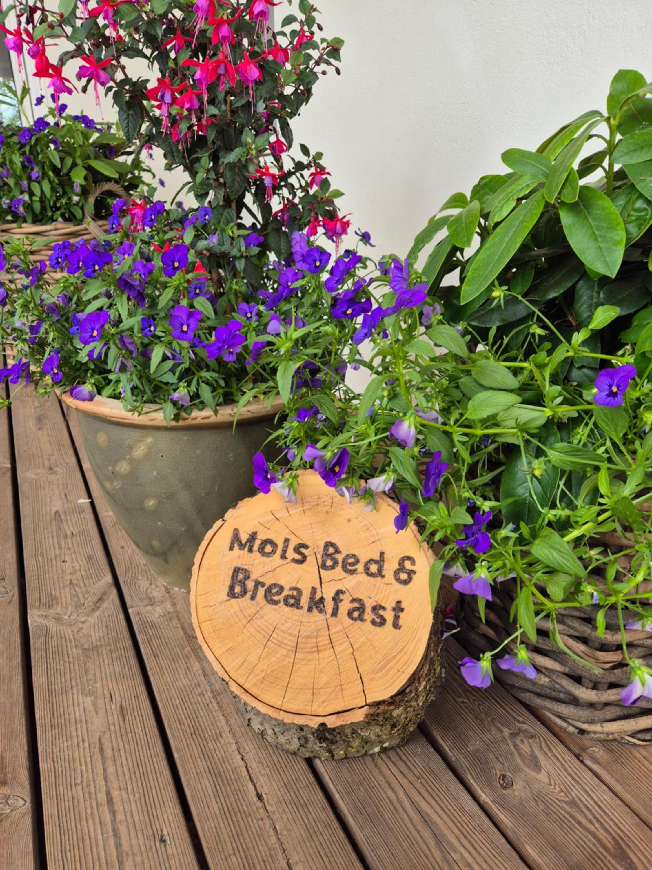 Mols Bed & Breakfast view 4